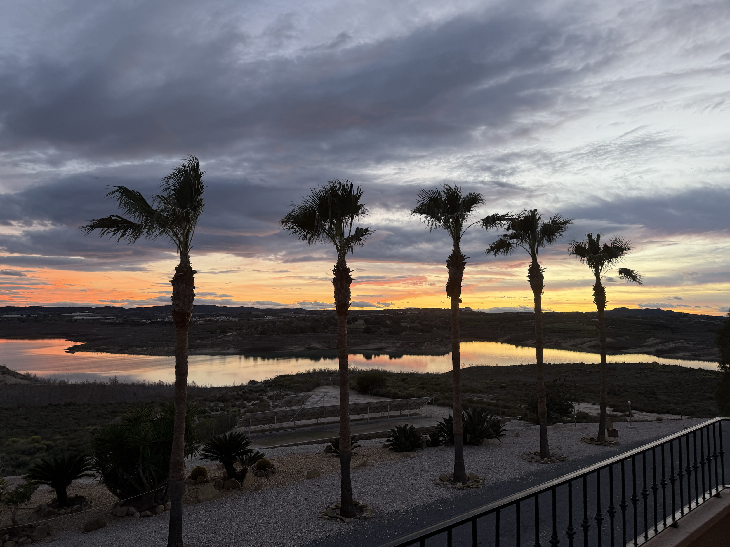 A scenic view of a lake at sunset with several tall palm trees along the shore. The sky is cloudy with hues of orange and pink near the horizon, reflecting on the water.