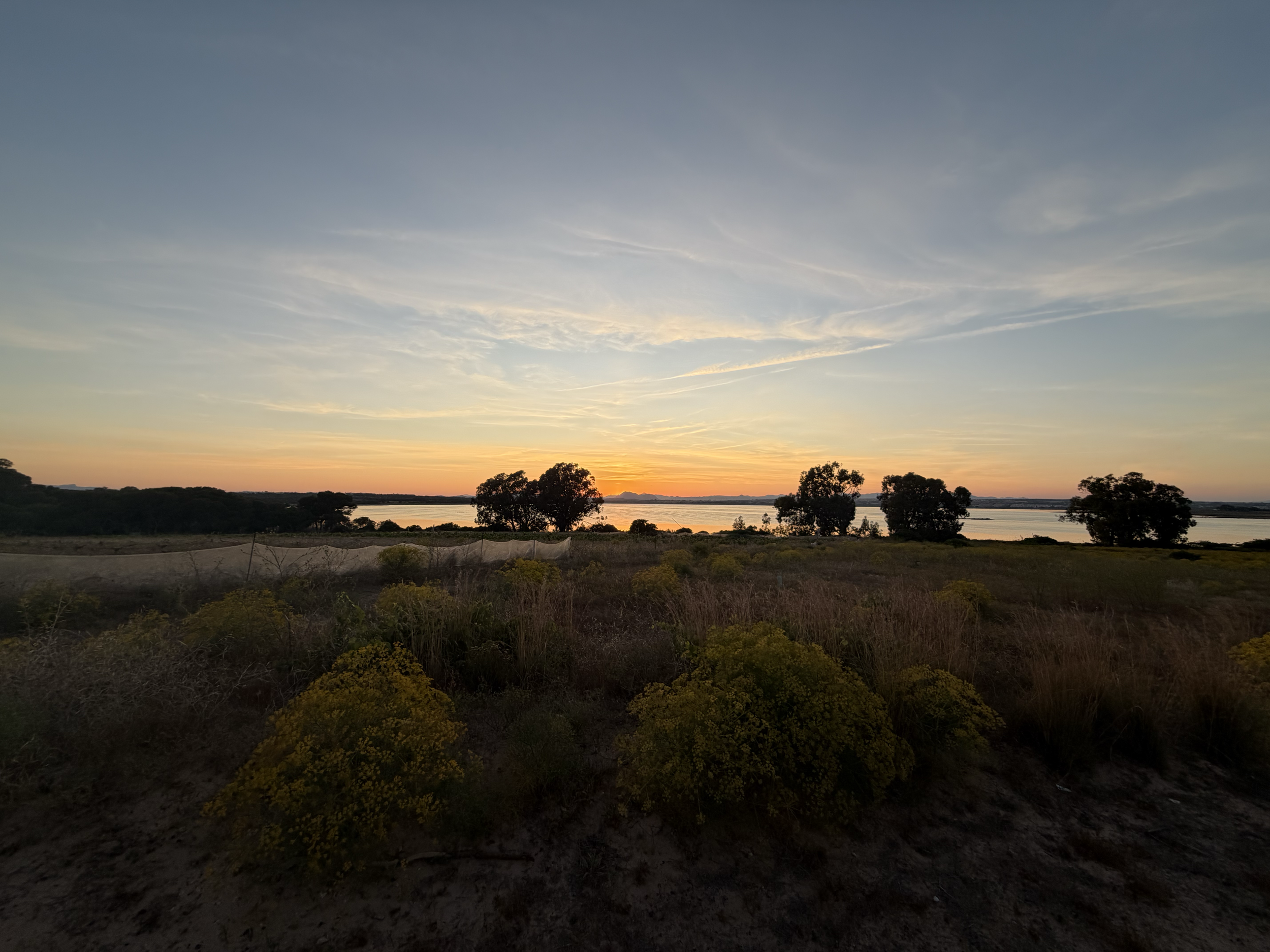 Sunset over a river with trees and bushes in the foreground.