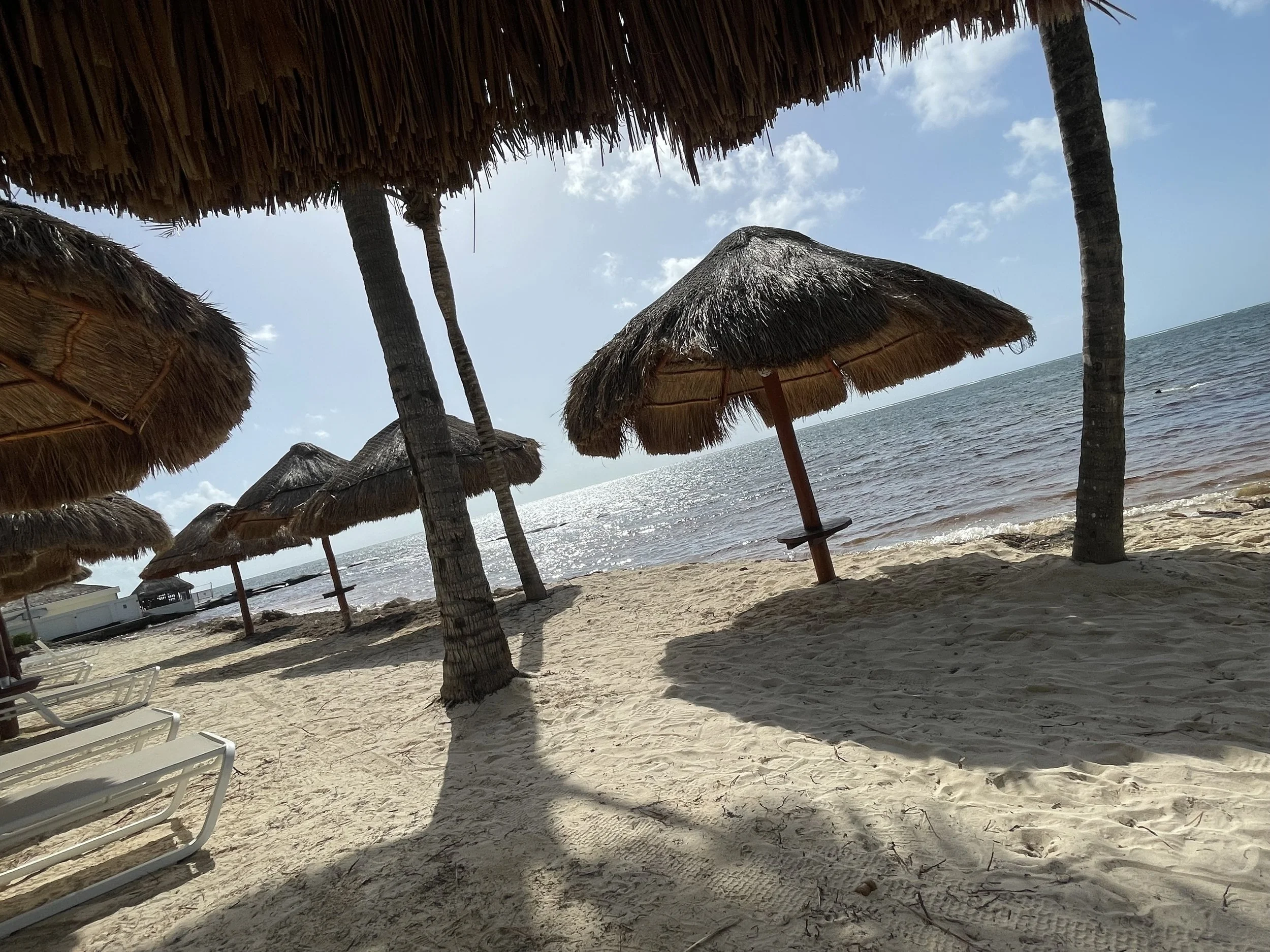 White-sand beach with shaded palapas overlooking the turquoise ocean at a tropical resort with straw umbrellas, palm trees, lounge chairs, sandy shore, and ocean waves.