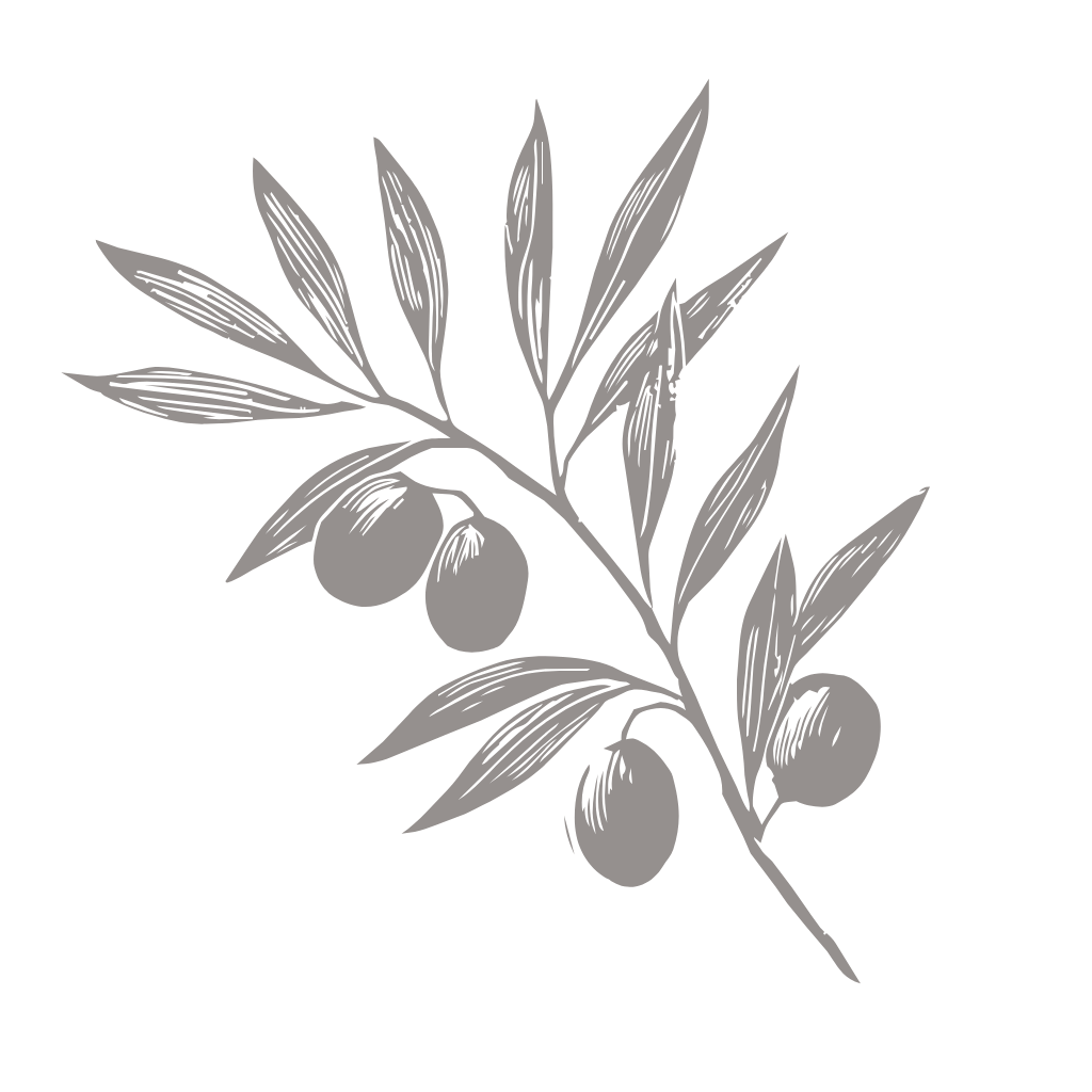 Illustration of an olive branch with leaves and olives on a black background.