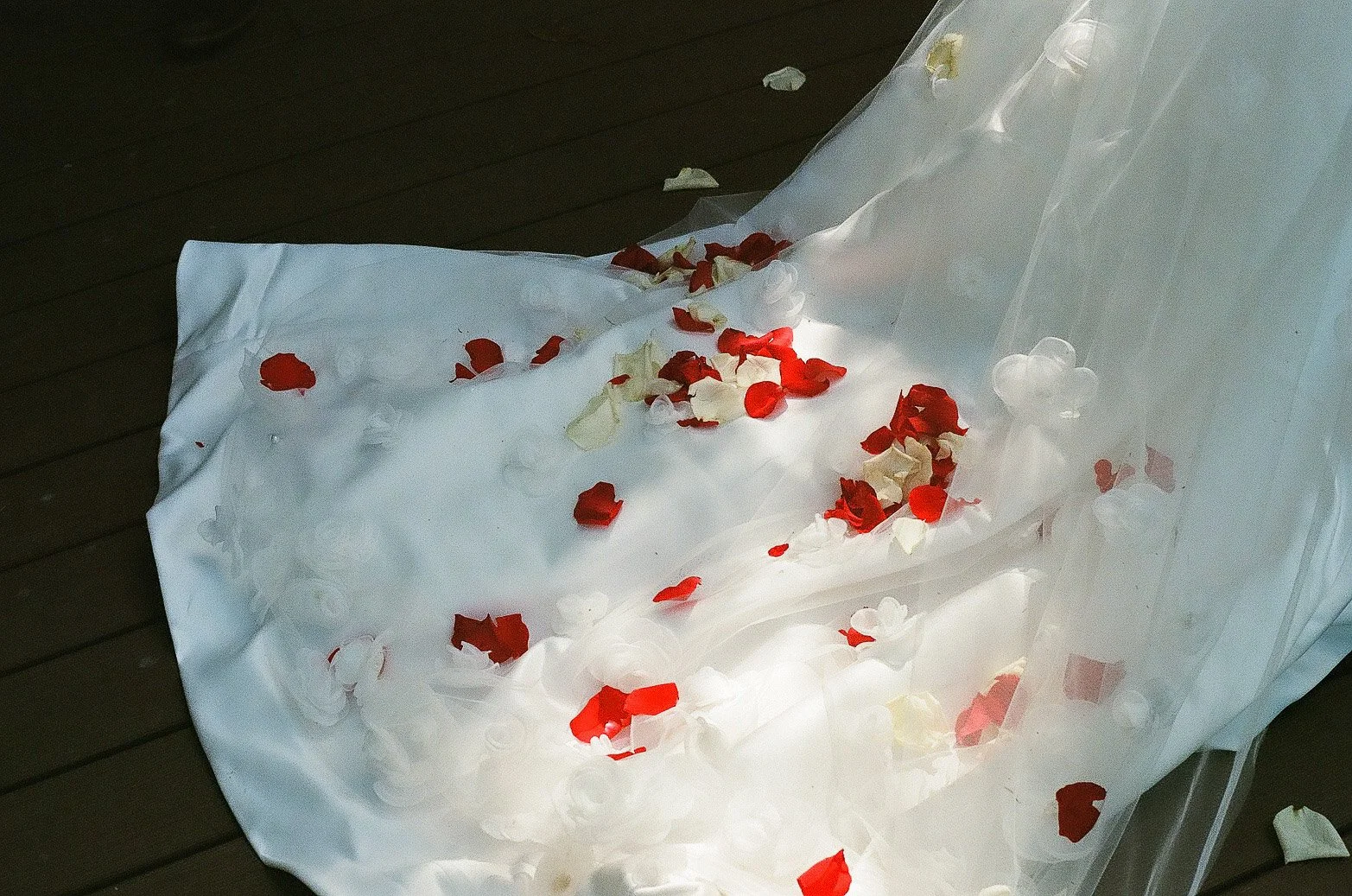 wedding-dress-train-rose-petals-mohican-castle.jpg