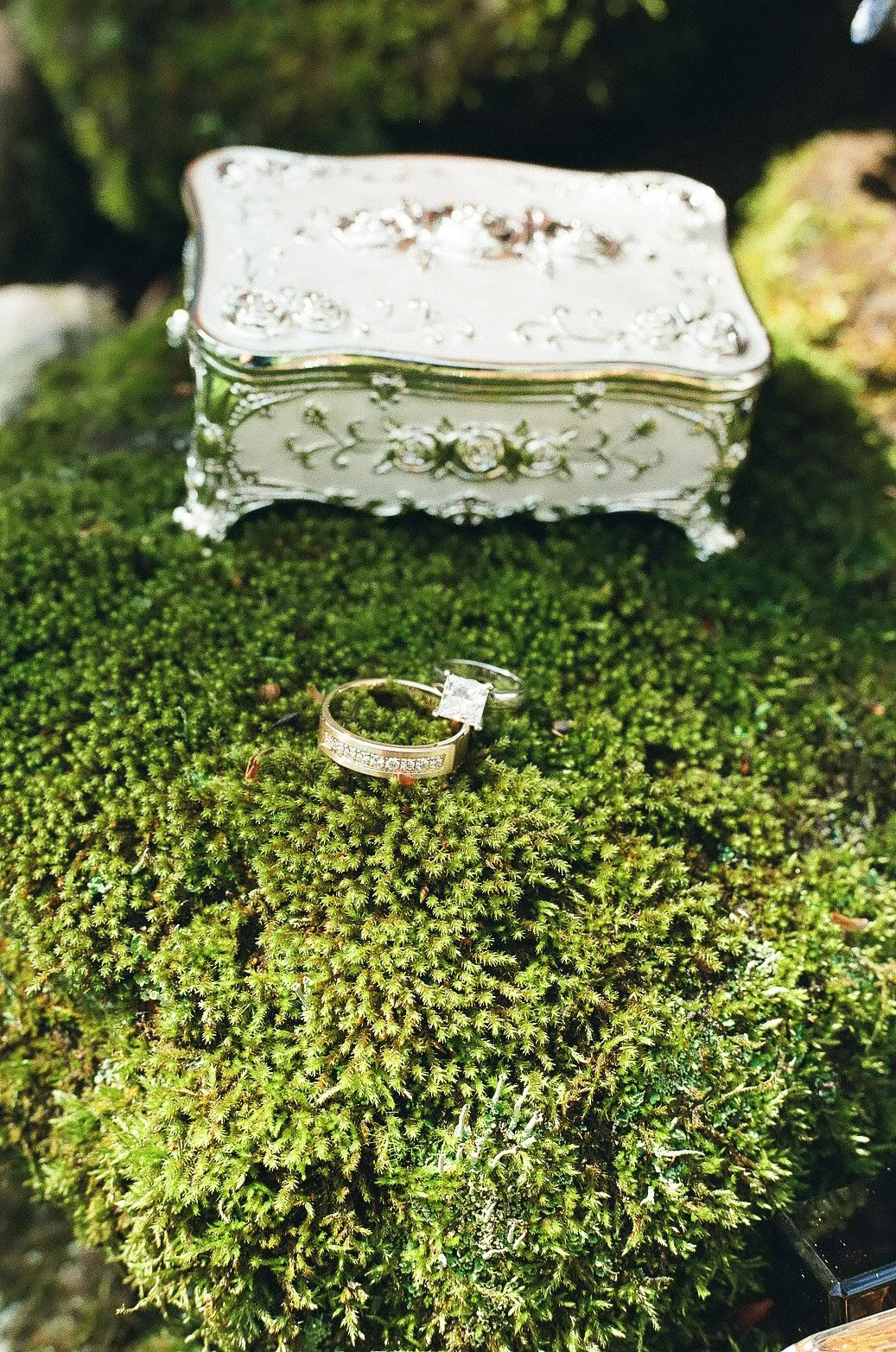 wedding-rings-on-moss-mohican-castle.jpg