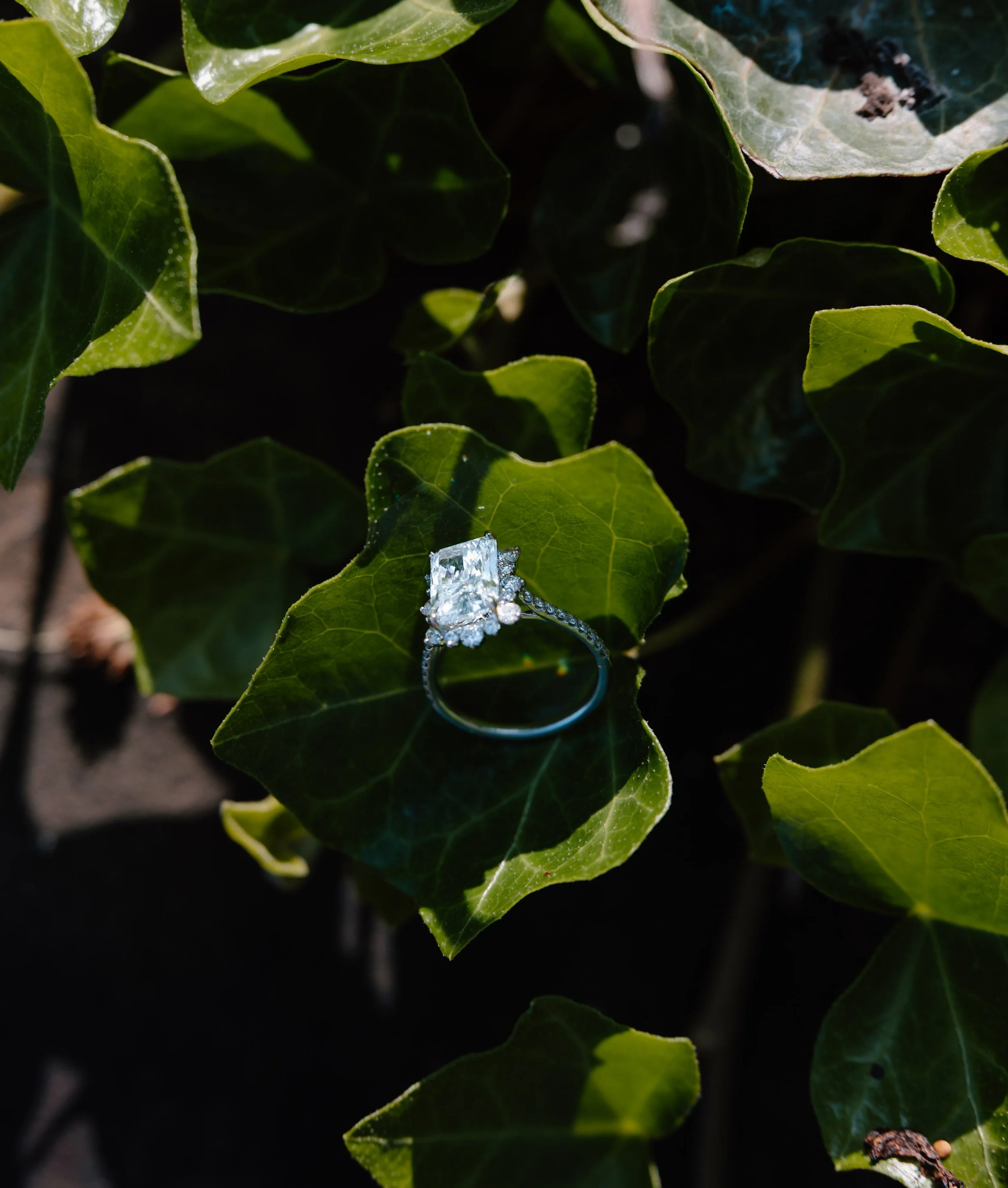 portsmouth-engagement-ring-macro-leaf-detail.jpg