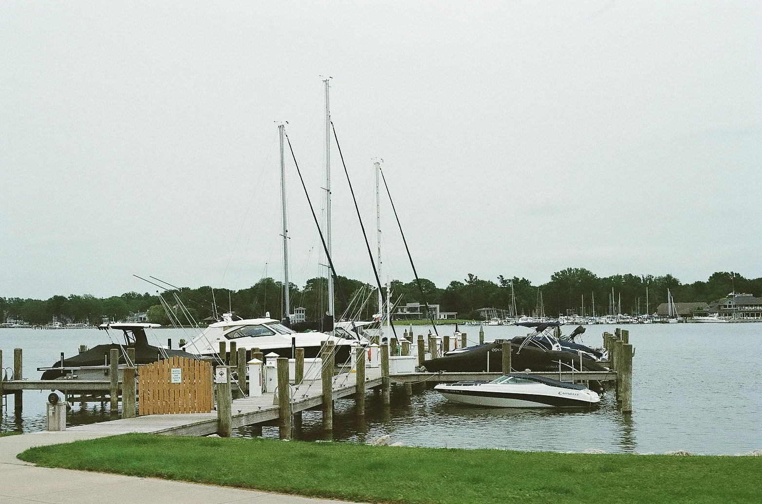 Kerrie_Arthur_Documentry_Style_Wedding_Film_Saugtuck,MI-1.jpg
