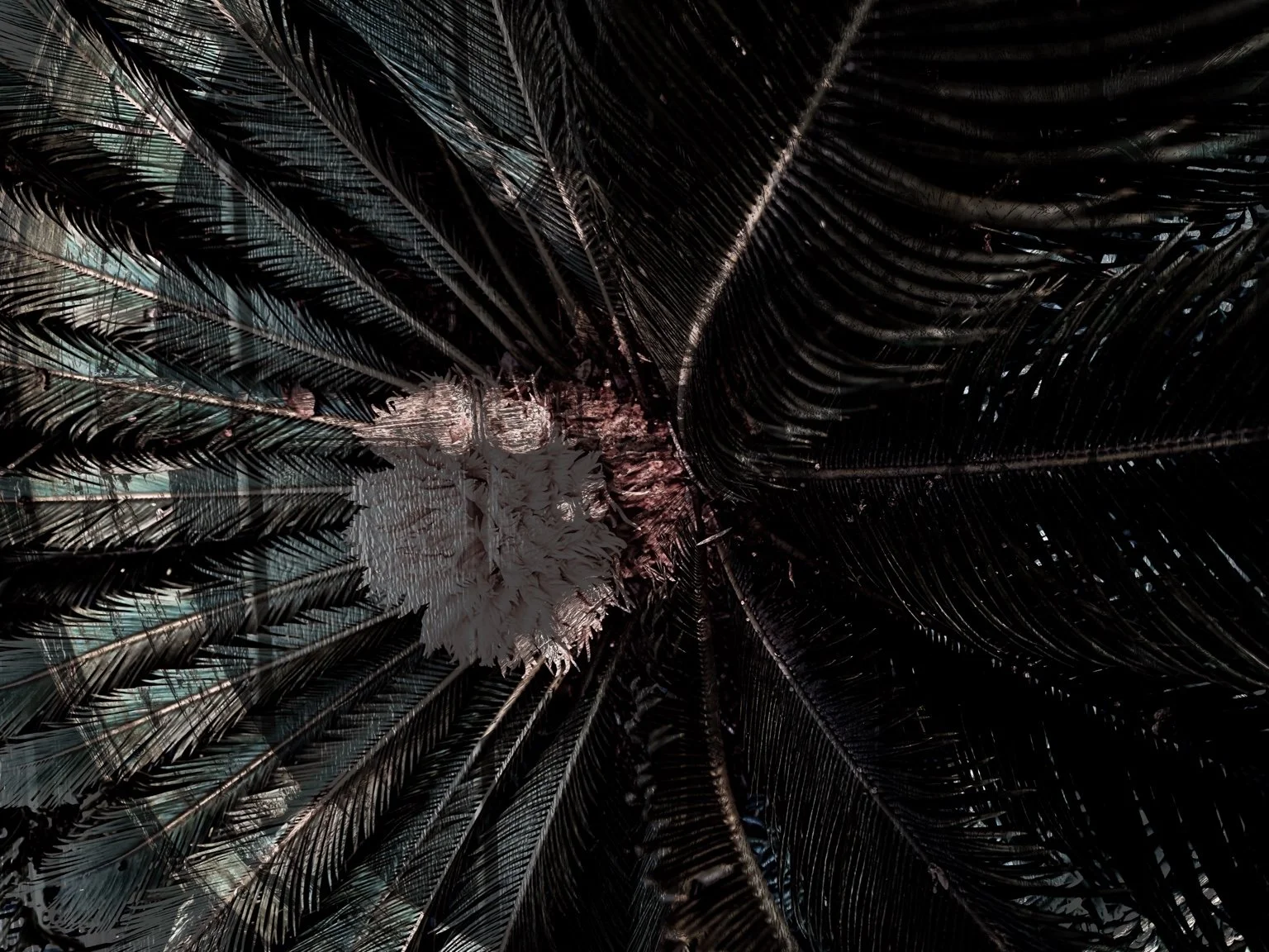 B6E78F8A-F53F-4847-9F6B-CC48B96B5871.JPEG