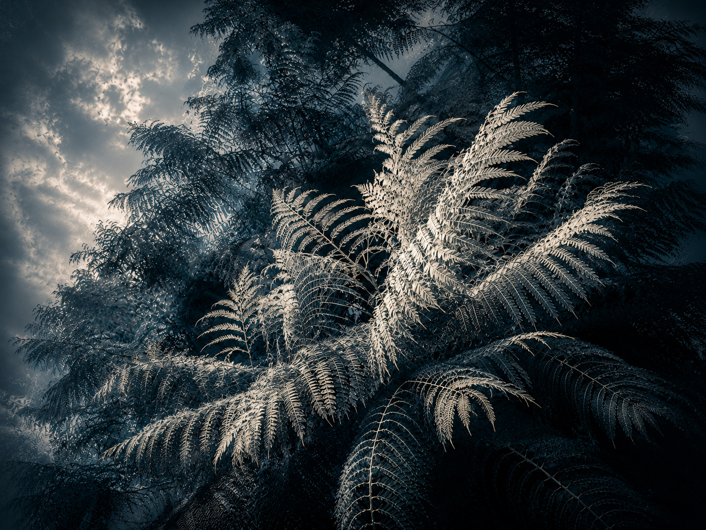 EE290DEB-8E6E-4F4A-8F19-CF40B76009E6.PNG