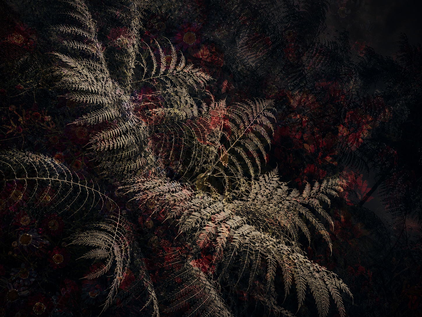 265D9464-61B4-49BF-8F07-8F77C3FF966F 2.PNG