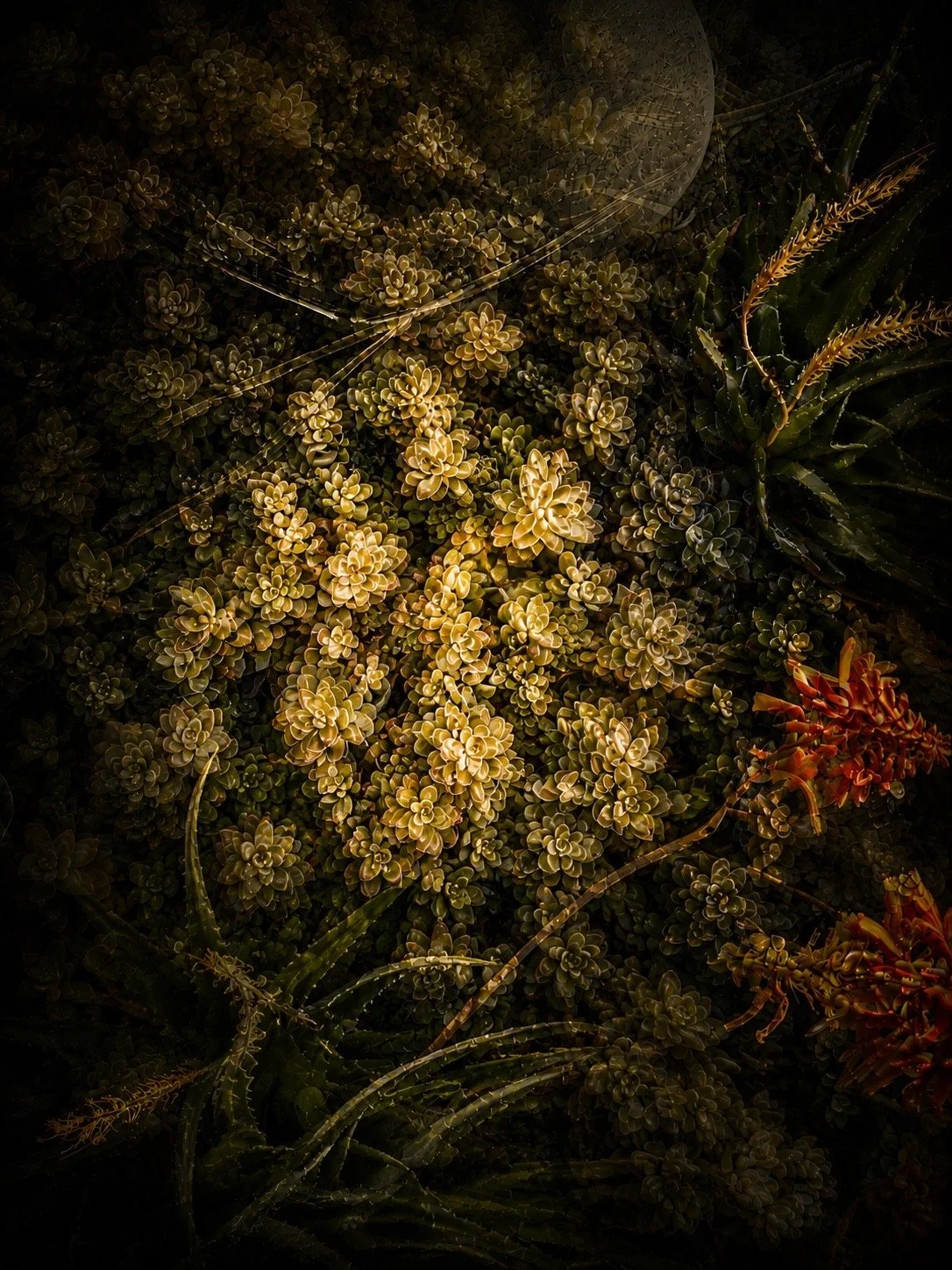 4B337B0B-77C9-48A4-90B8-018B3D5B0CA1.JPEG
