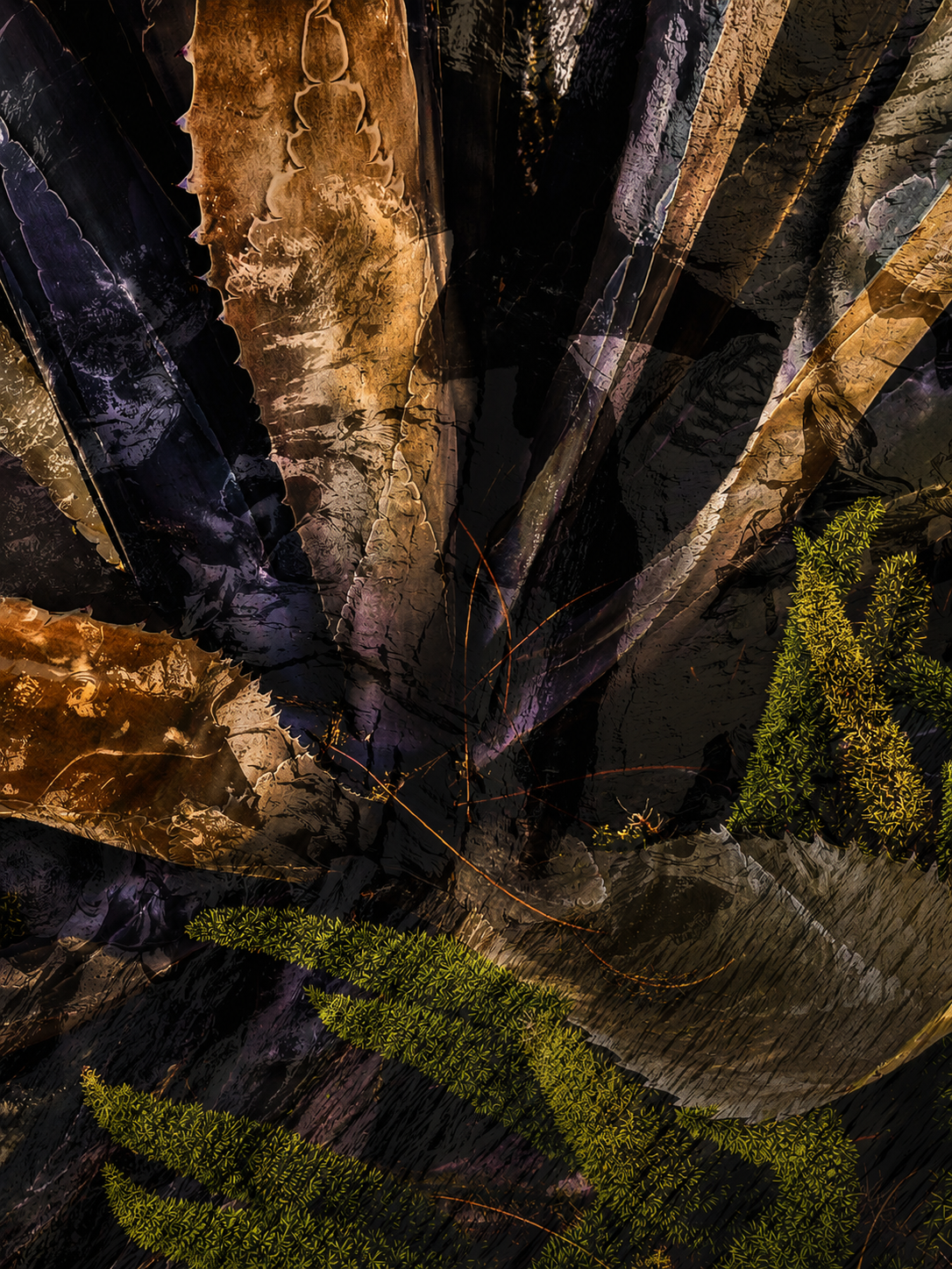035AAFB6-A615-430D-9C37-60271F5FC700.PNG