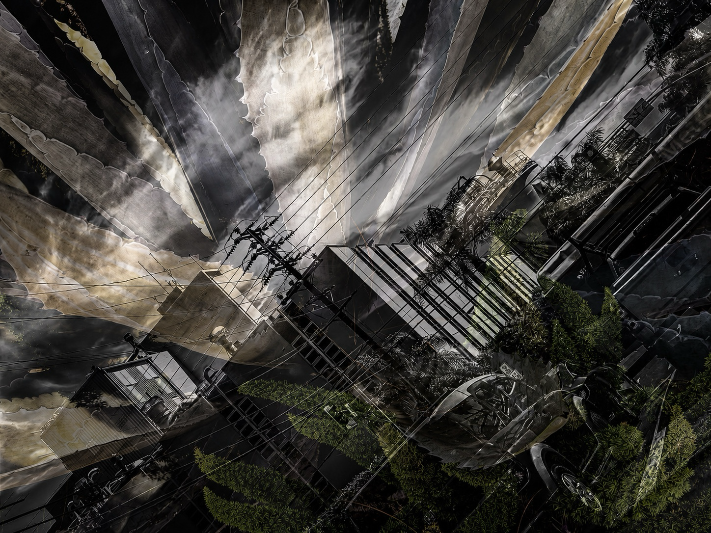 F211DA8F-4638-4E04-B504-D793EBE9C0E1.PNG