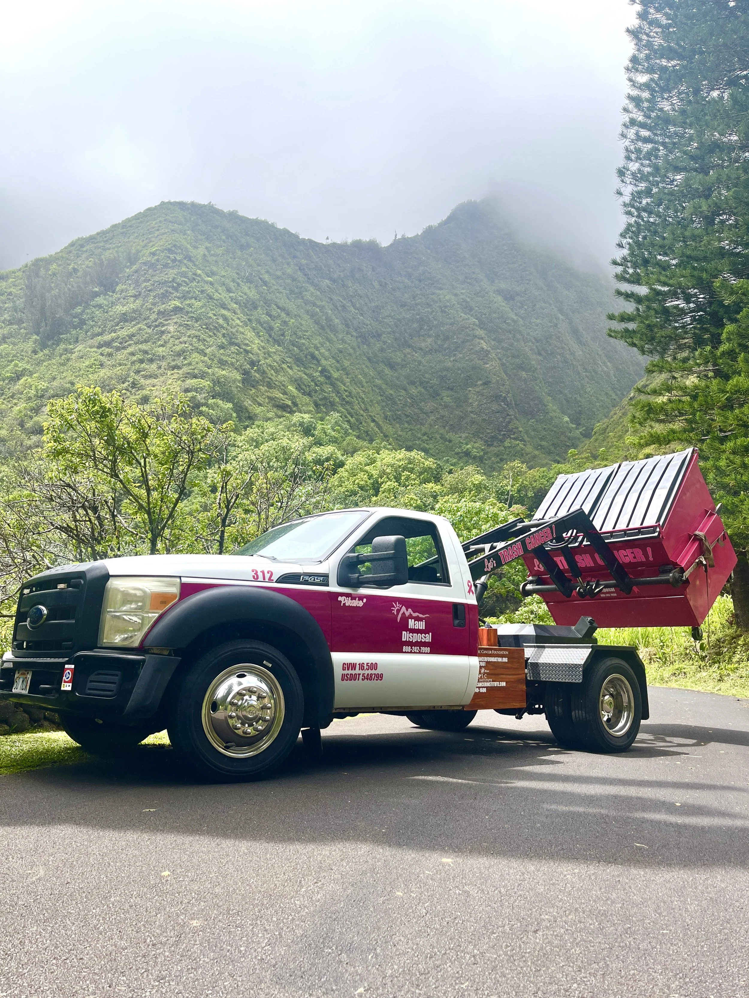 A white and black pickup truck with pink and black accessories, parked on an asphalt road in front of lush green trees and mountain landscape, with fog covering the mountain peaks.