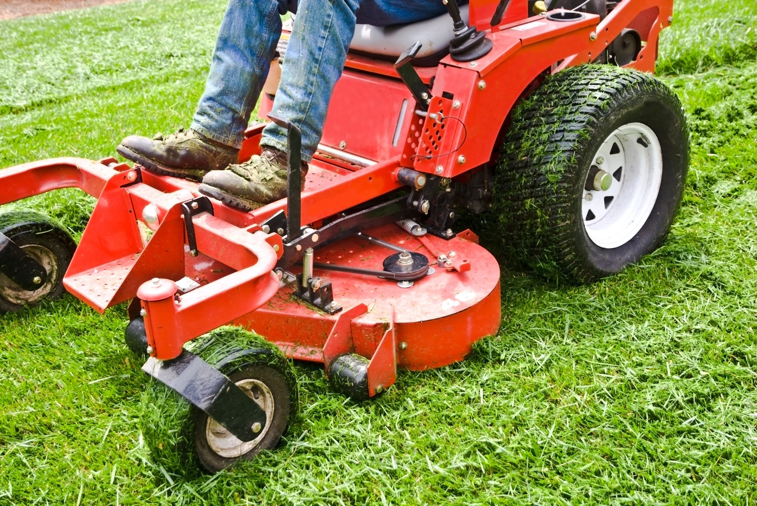 Best Mowing Height for Grass in Heat and Drought