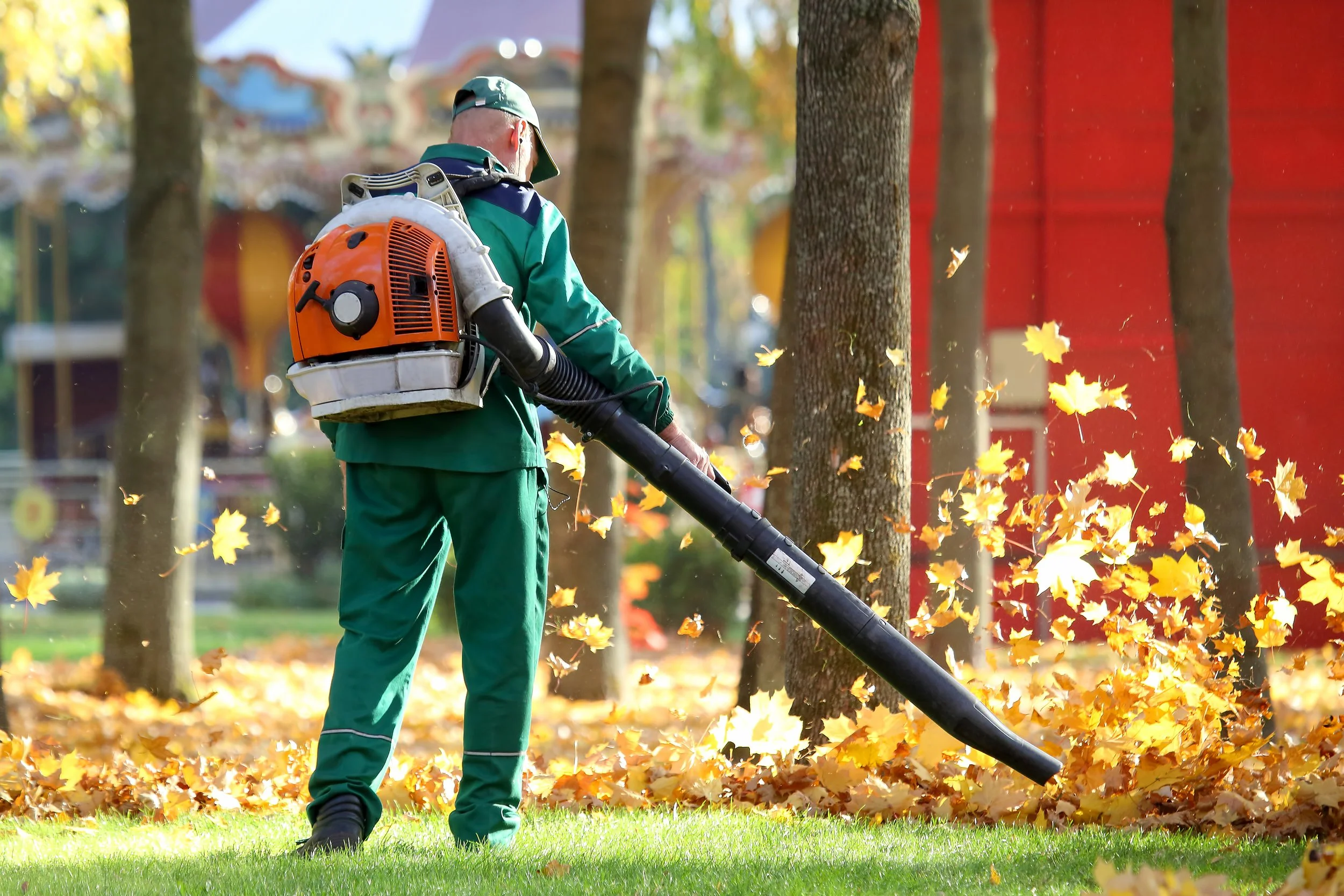 Fall Leaf Cleanup: What to Mulch, Remove, and Reuse