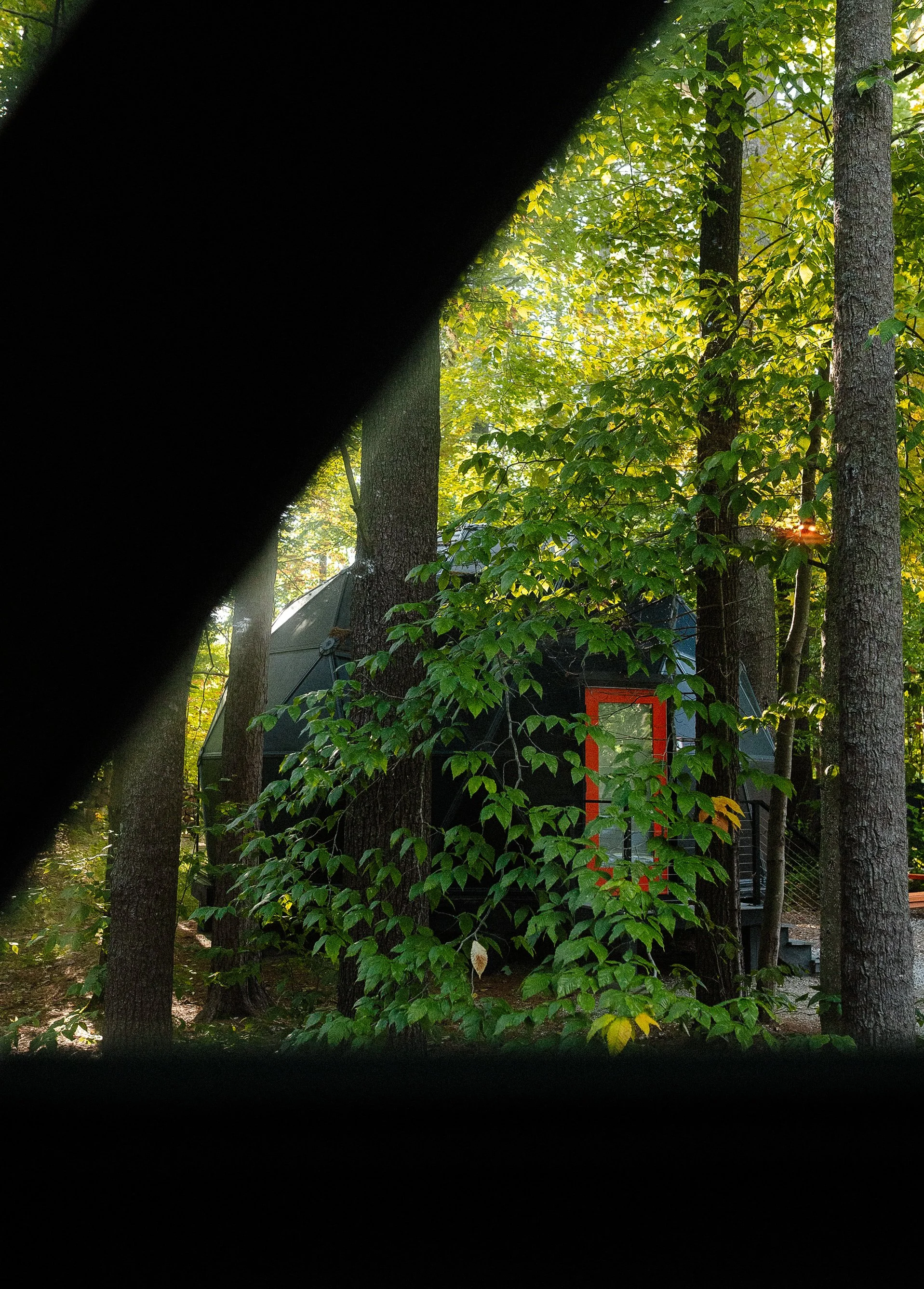 5E6A0009.JPG