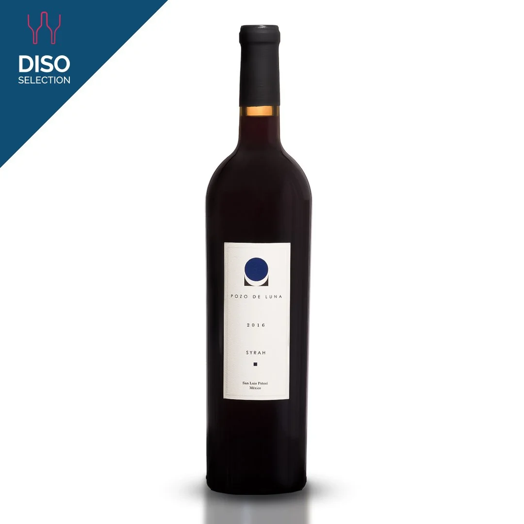 Vino Tinto Pozo de Luna Syrah 750 ml