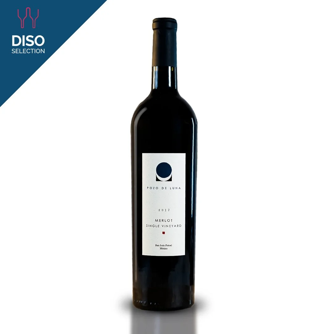 Vino Tinto Pozo de Luna Merlot 750 ml