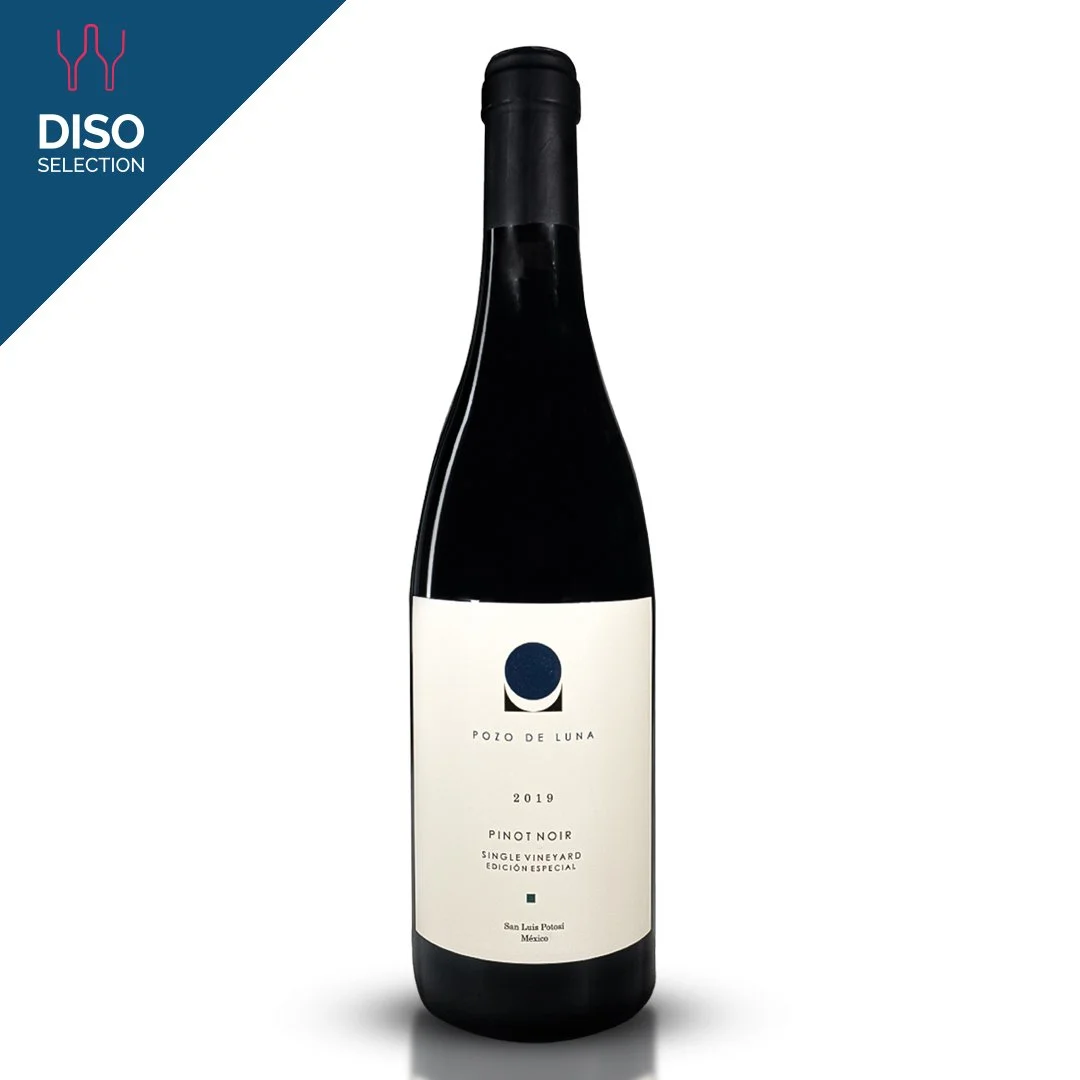 Vino Tinto Pozo de Luna Pino Noir 750 ml
