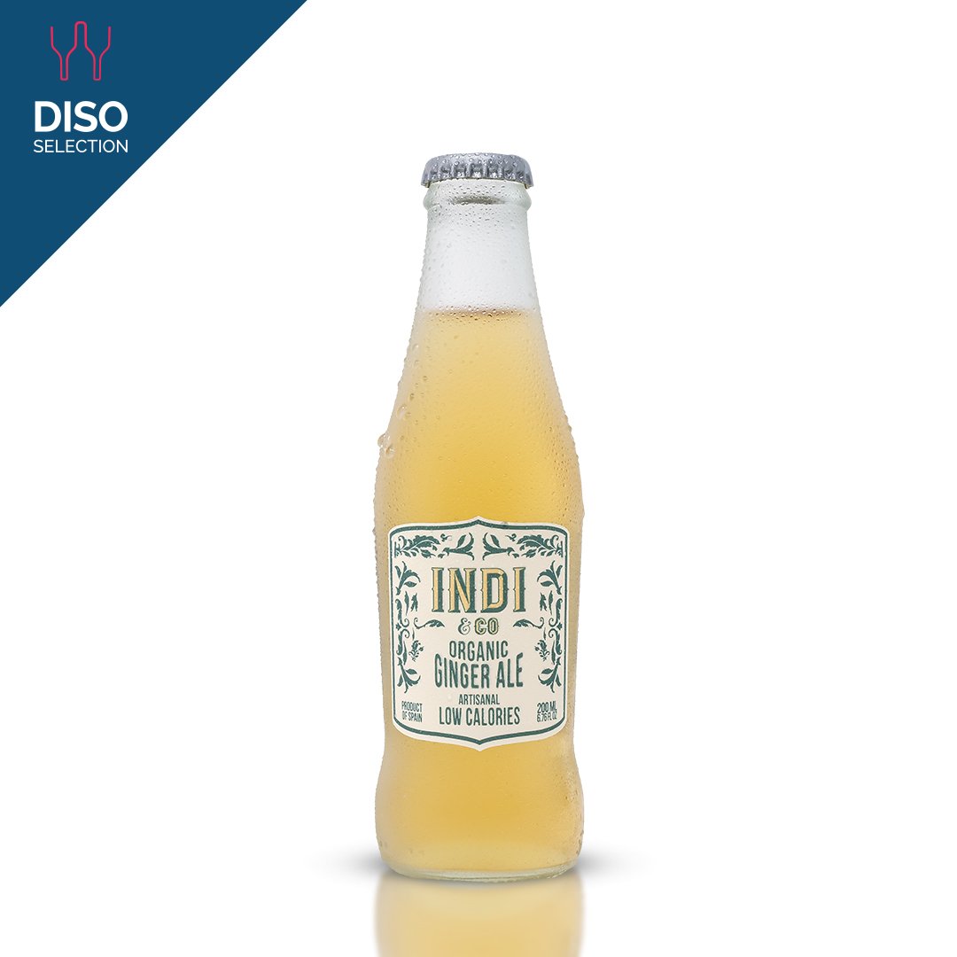 Organic Ginger Ale 200 ml
