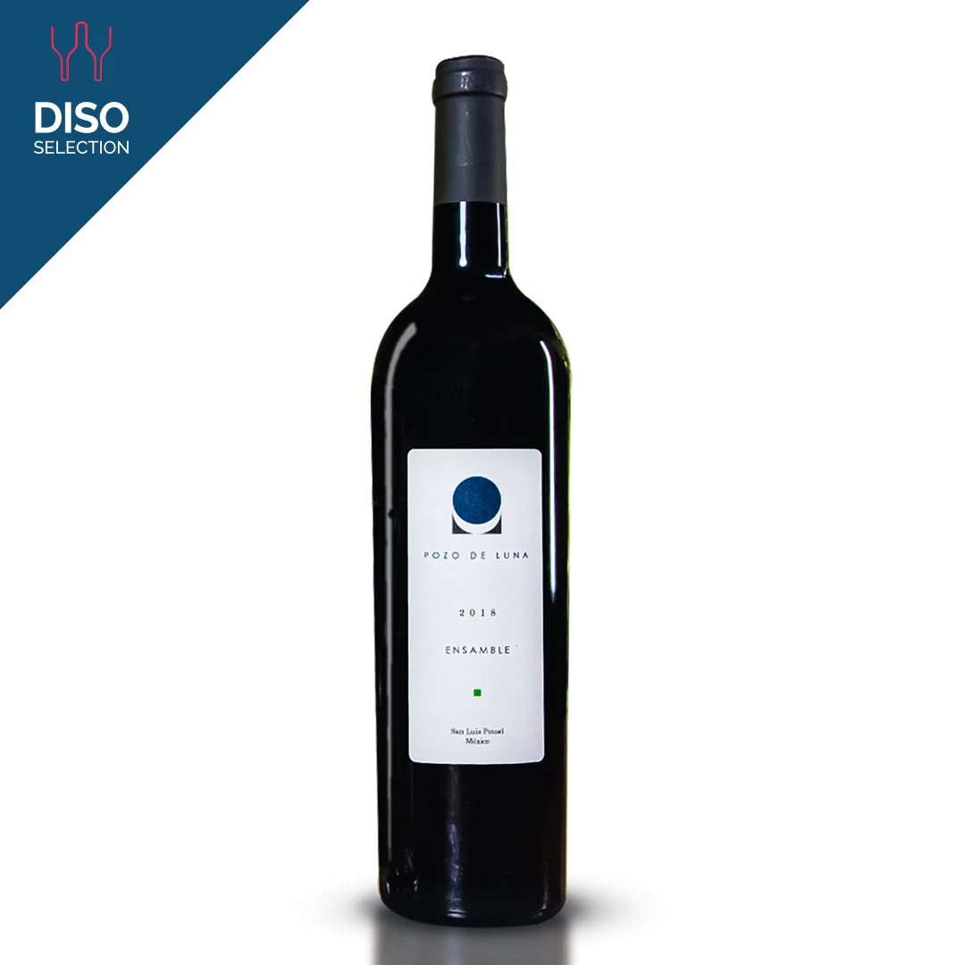 Vino Tinto Pozo de Luna Ensamble 750 ml