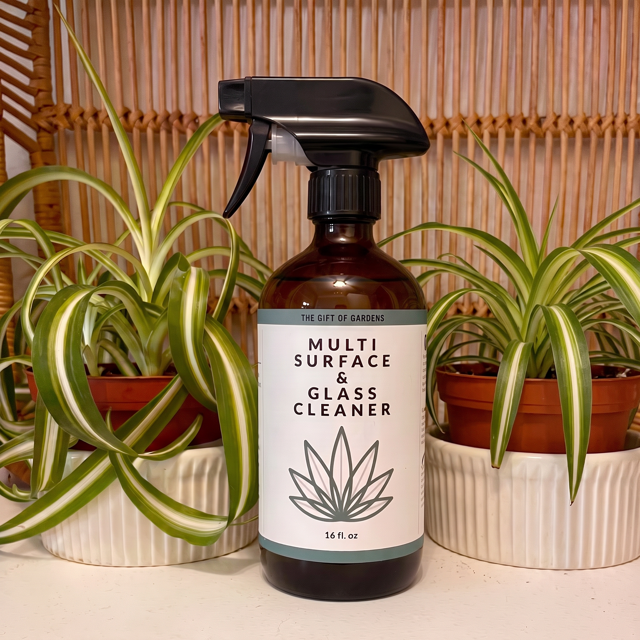 Multi-Surface & Glass Cleaner
