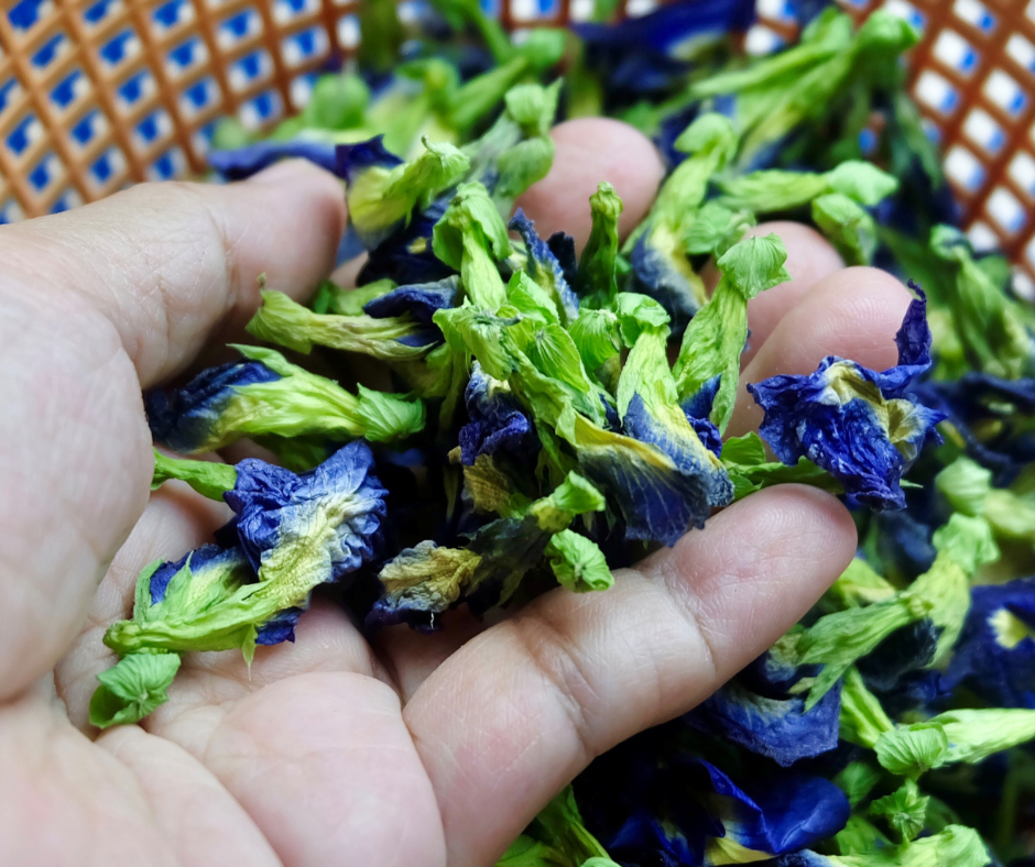 Straw Hat Society Plant Chats