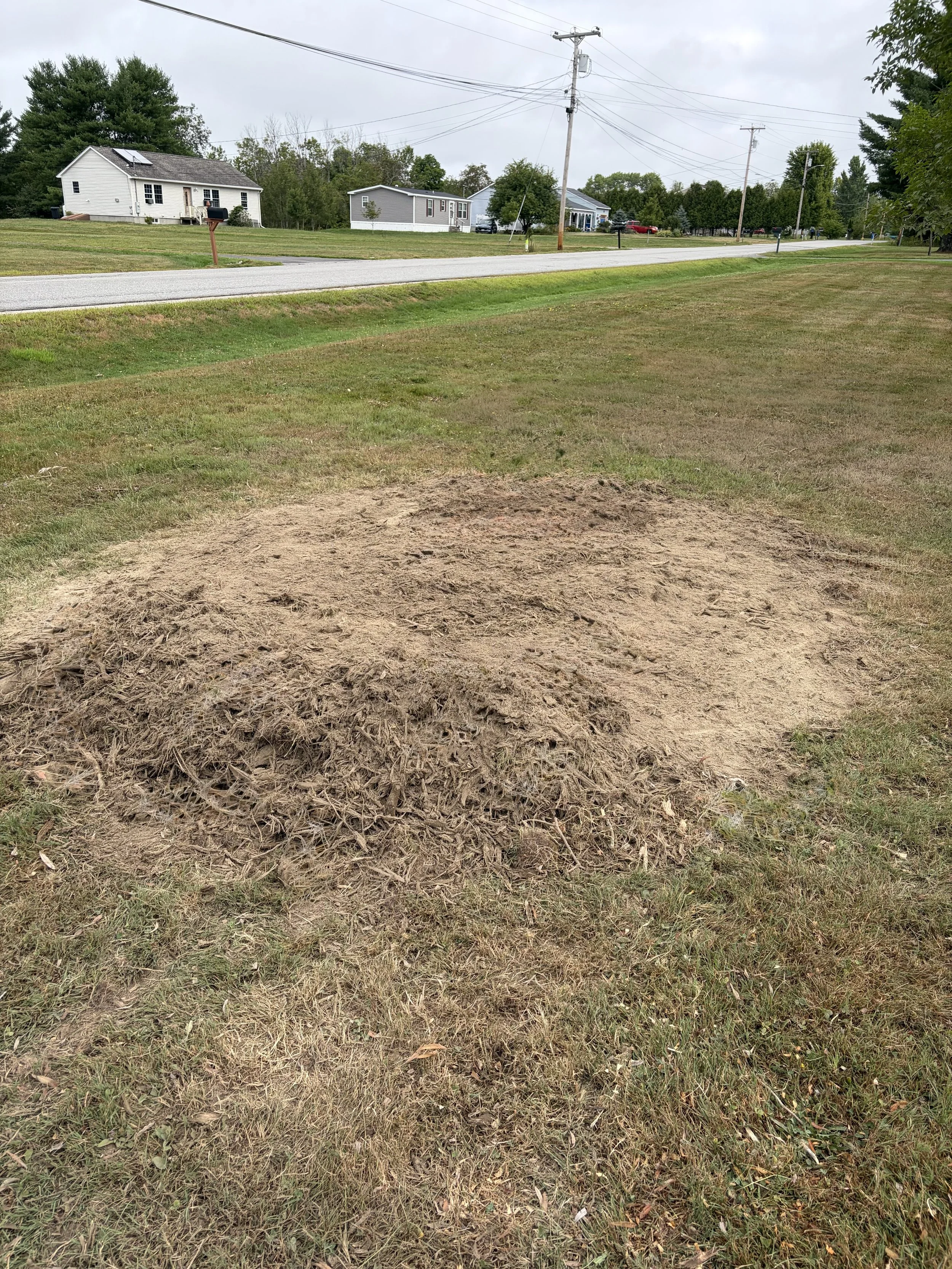 Stump Grinding
