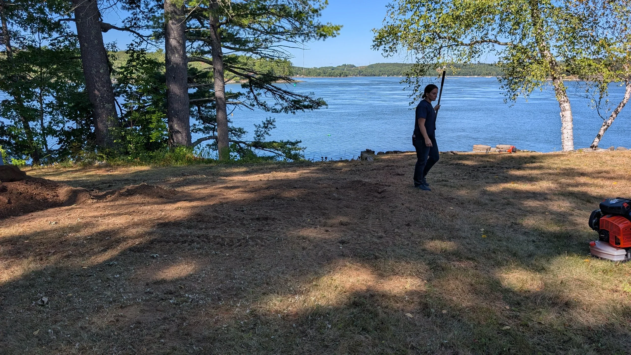 Stump Grinding