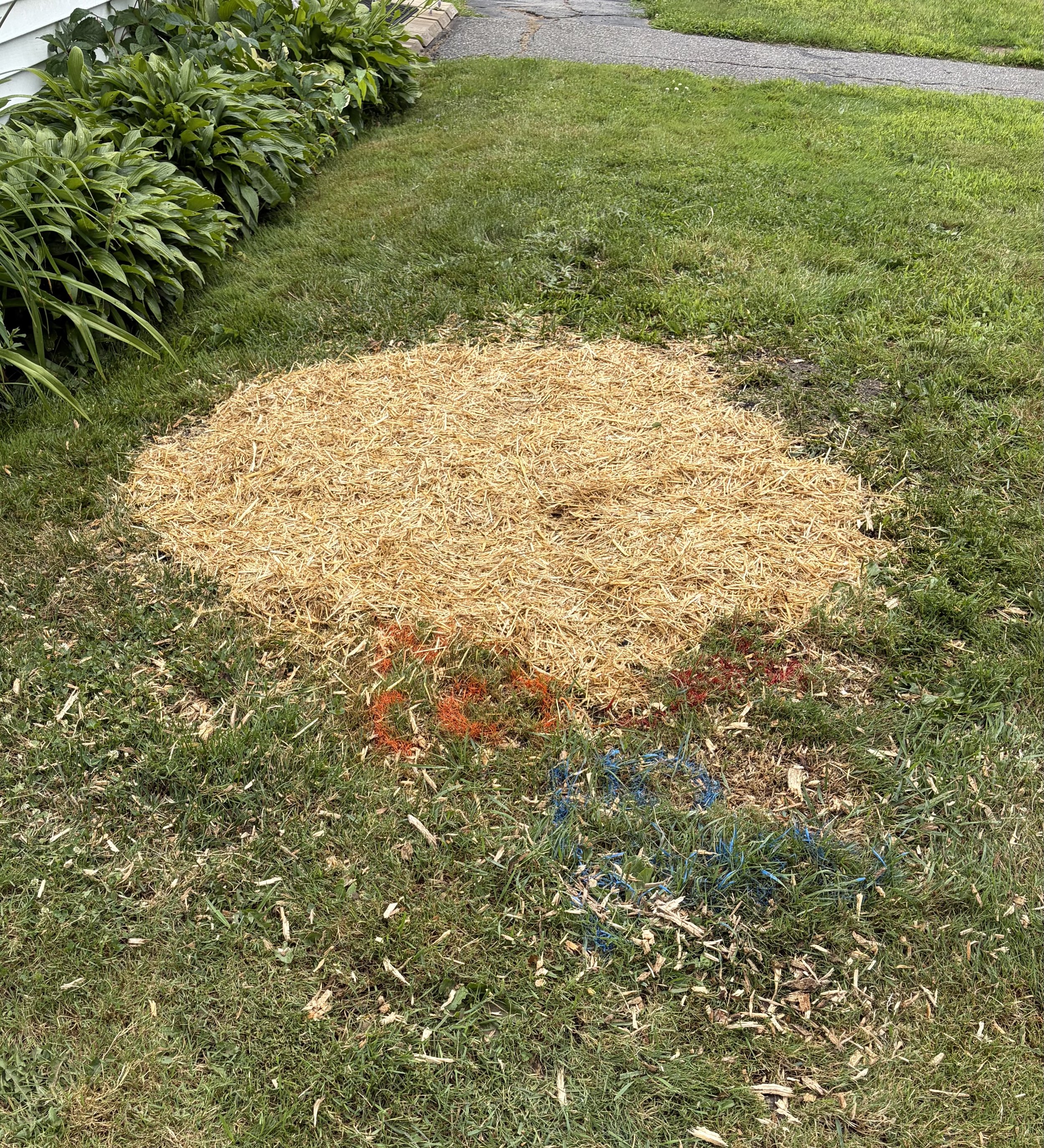 Stump Grinding