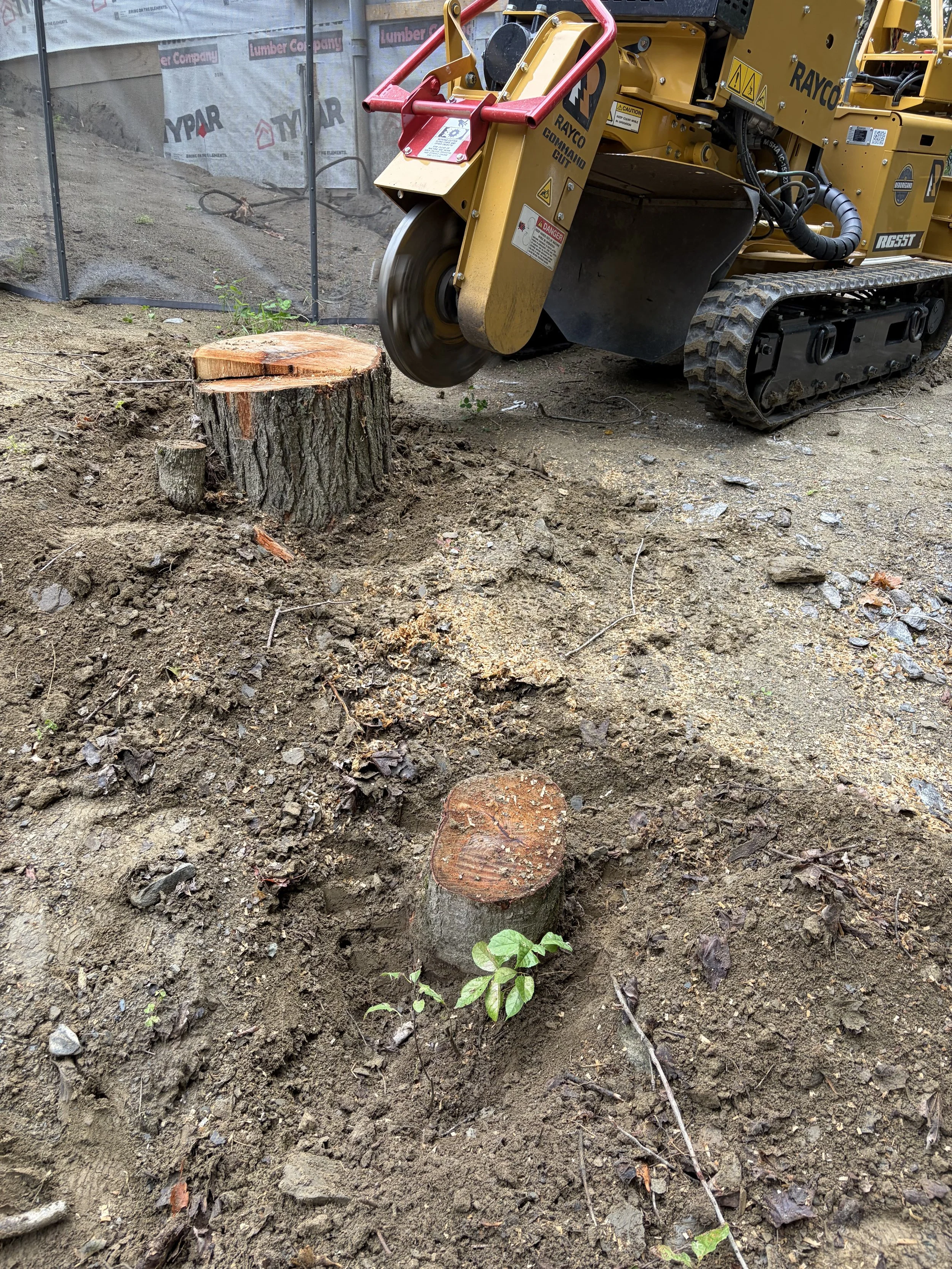 Stump Grinding