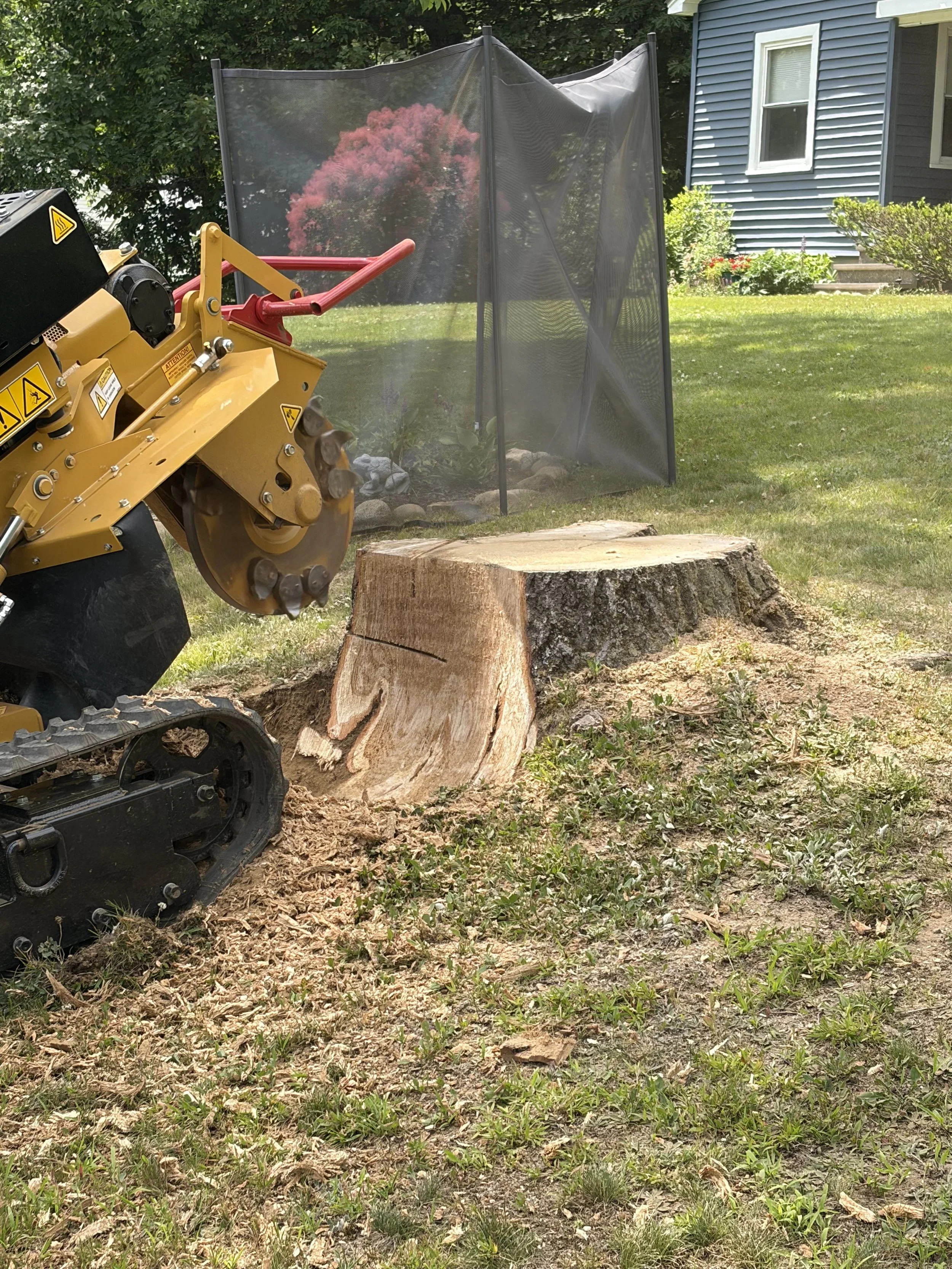 Stump Grinding