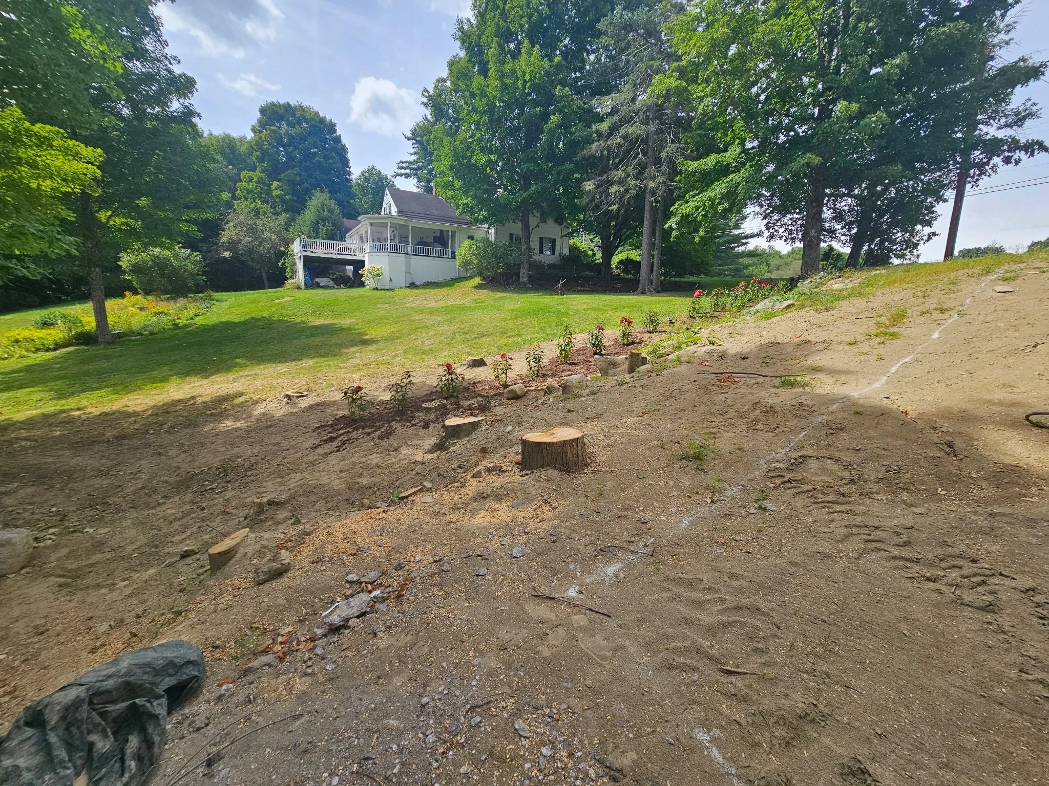 Stump Grinding
