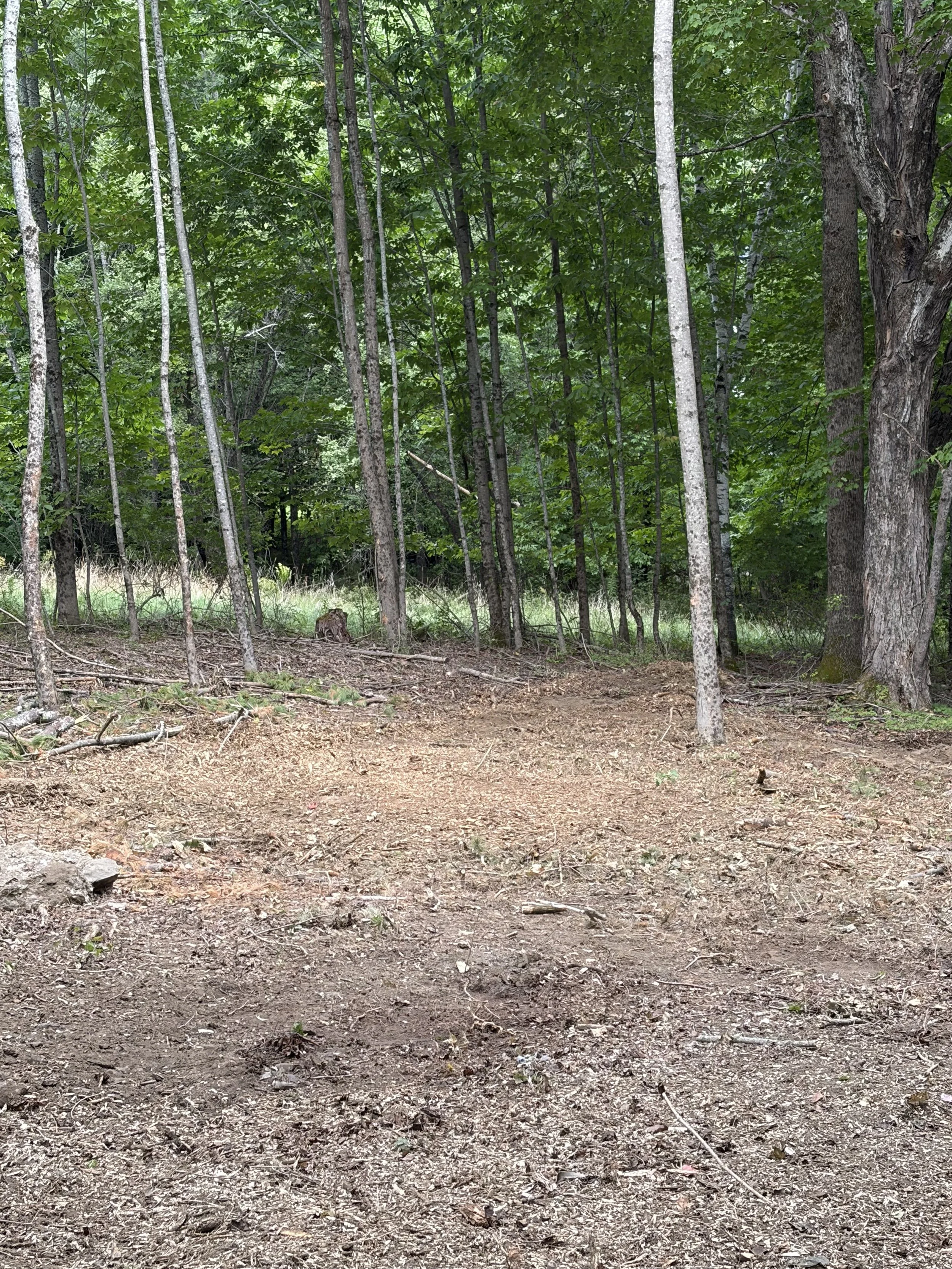 Stump Grinding