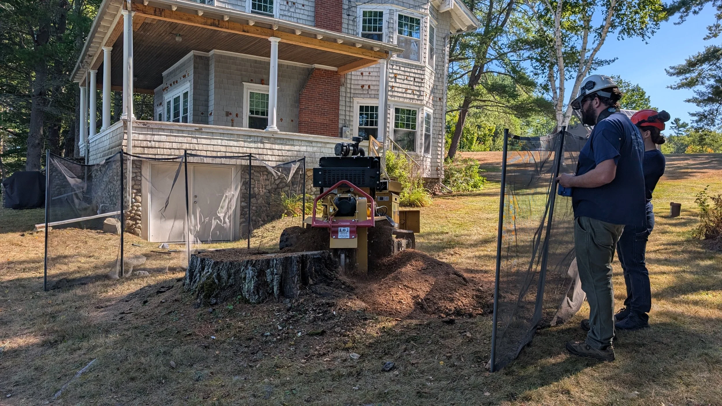 Stump Grinding
