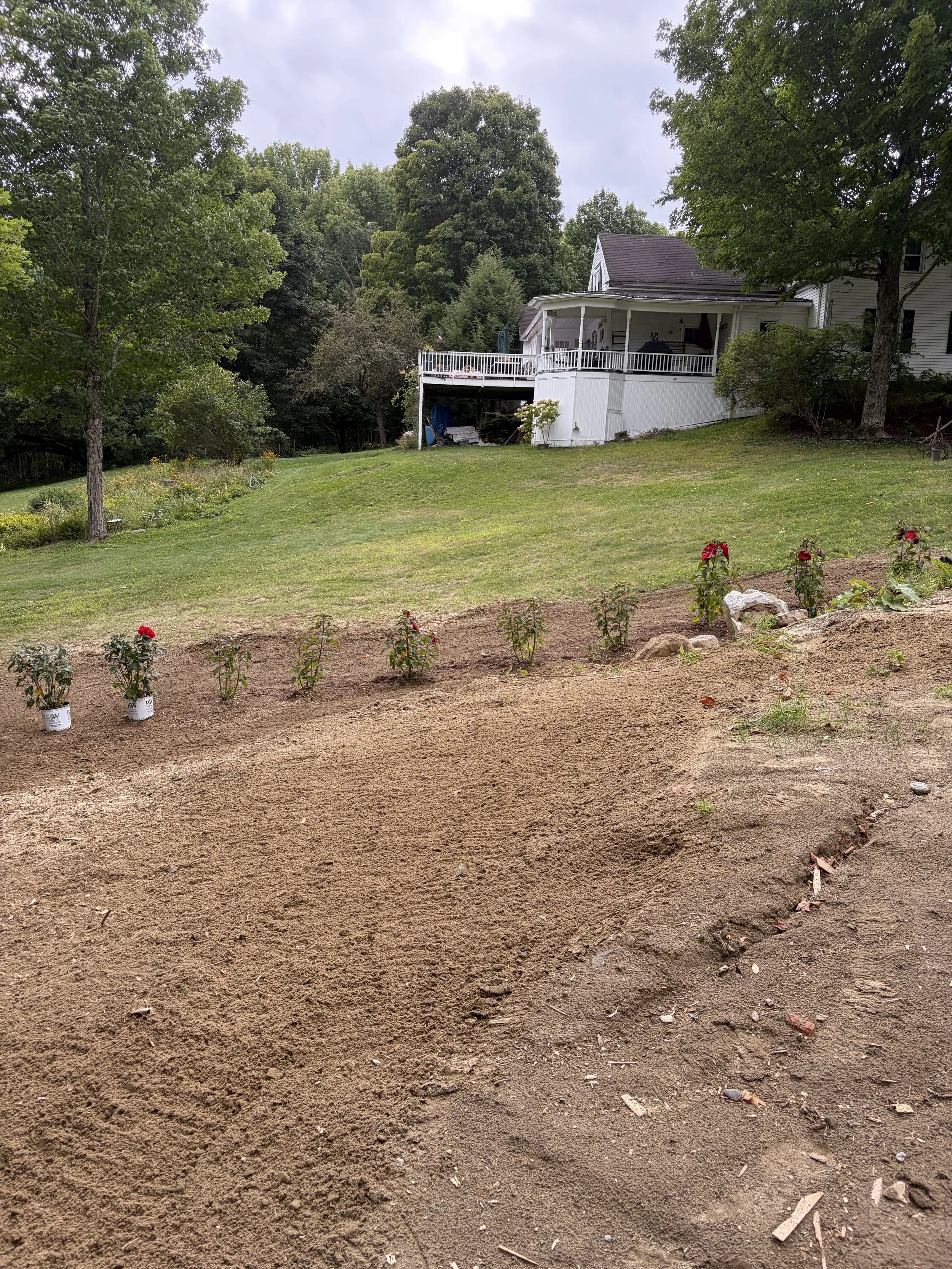 Stump Grinding