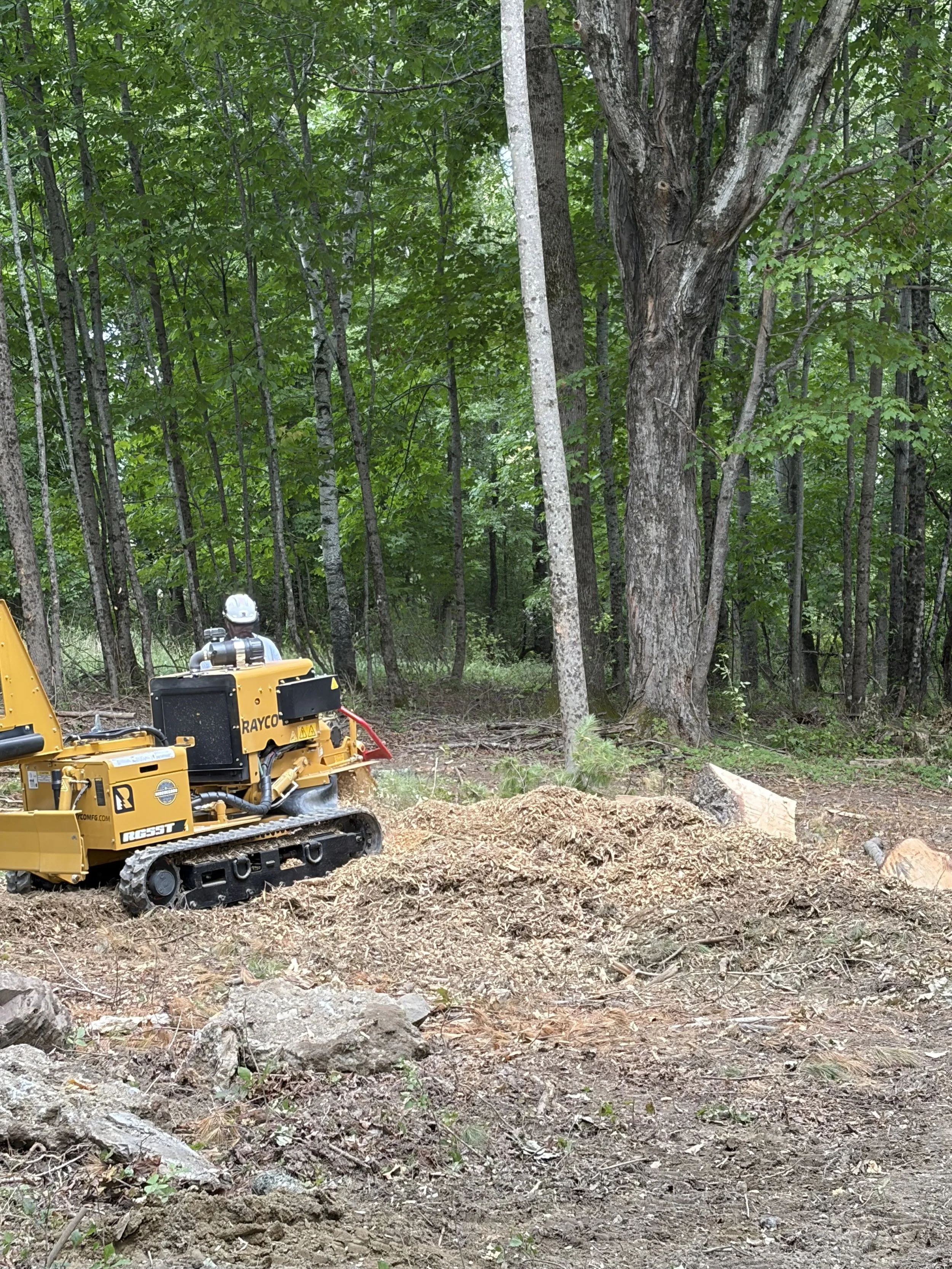 Stump Grinding