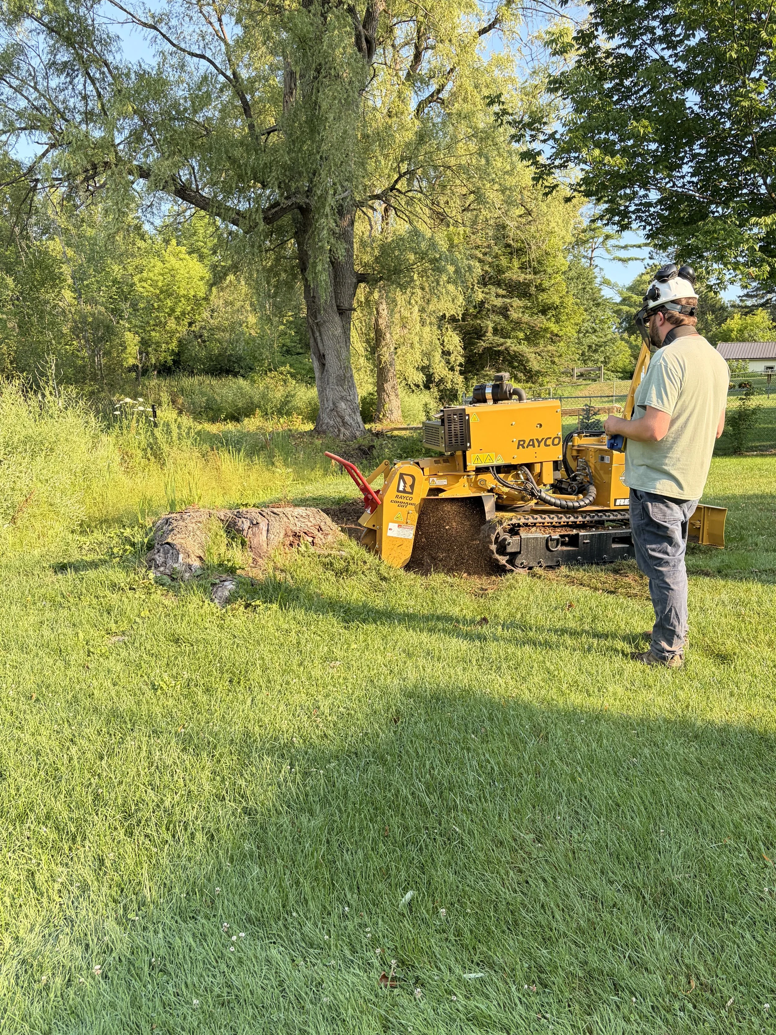 Stump Grinding