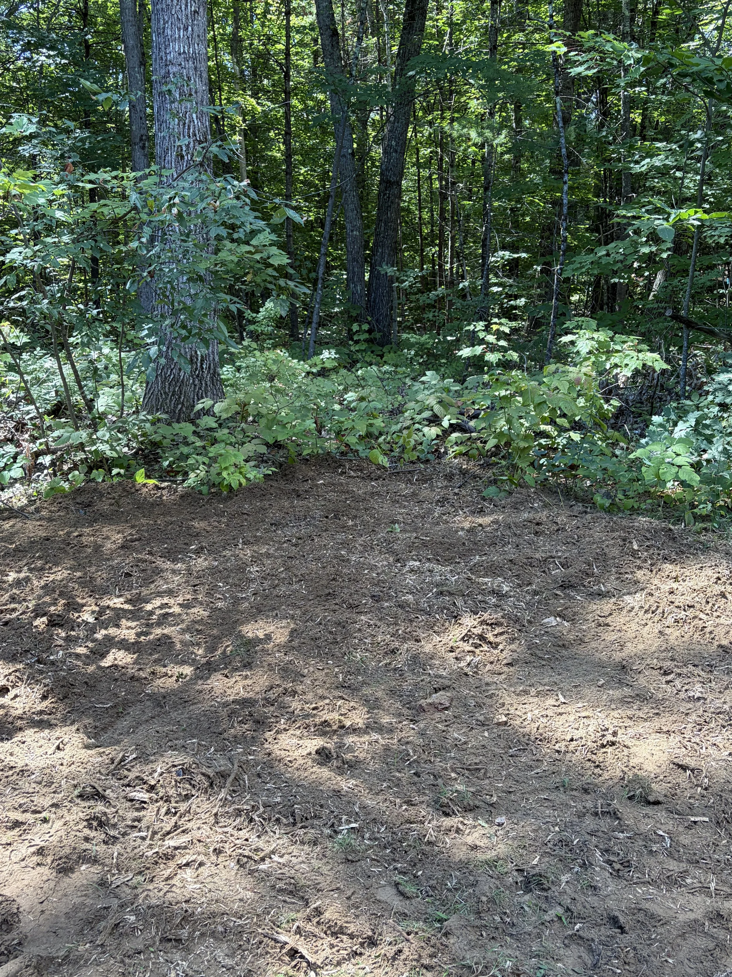 Stump Grinding