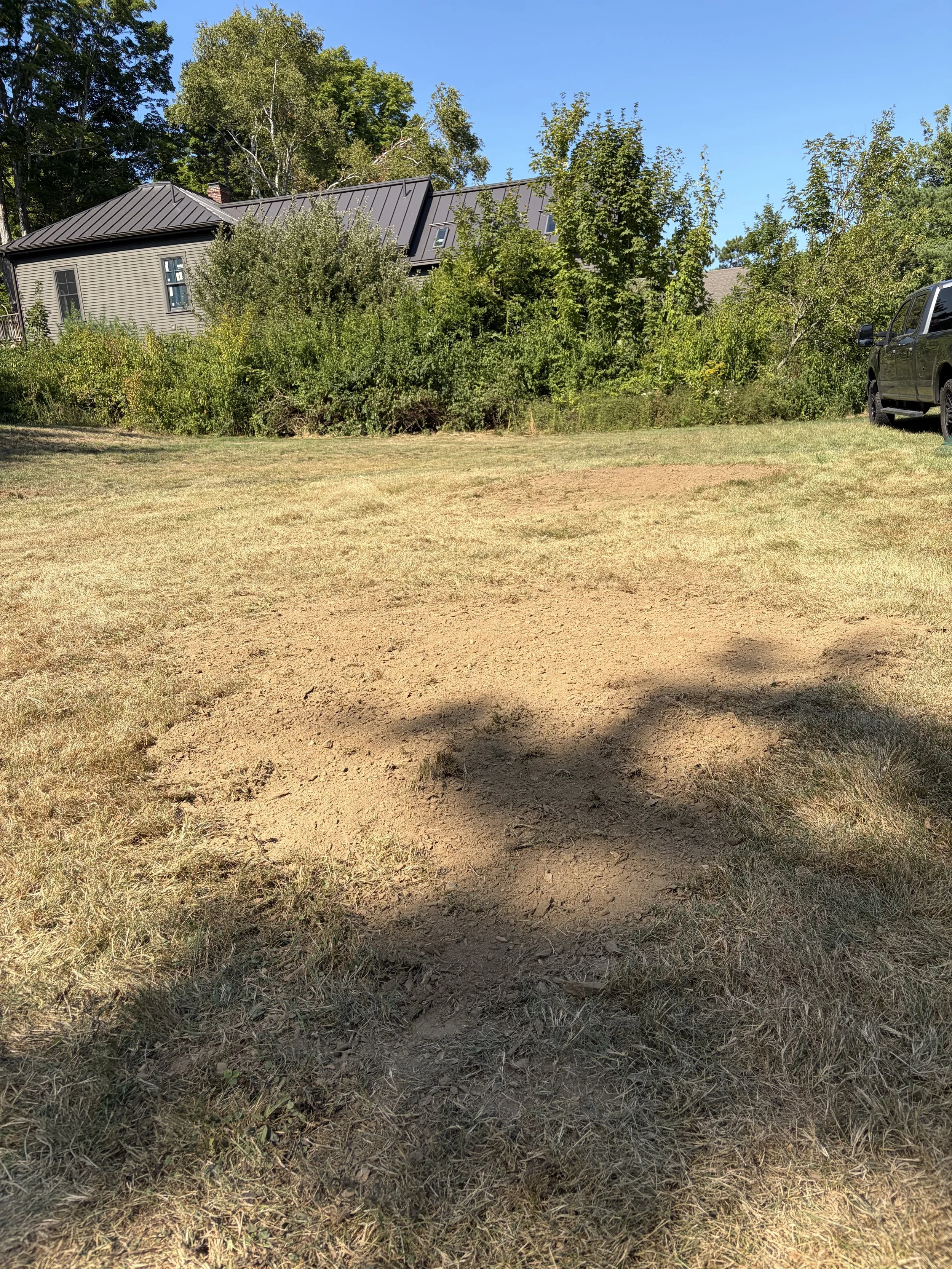 Stump Grinding
