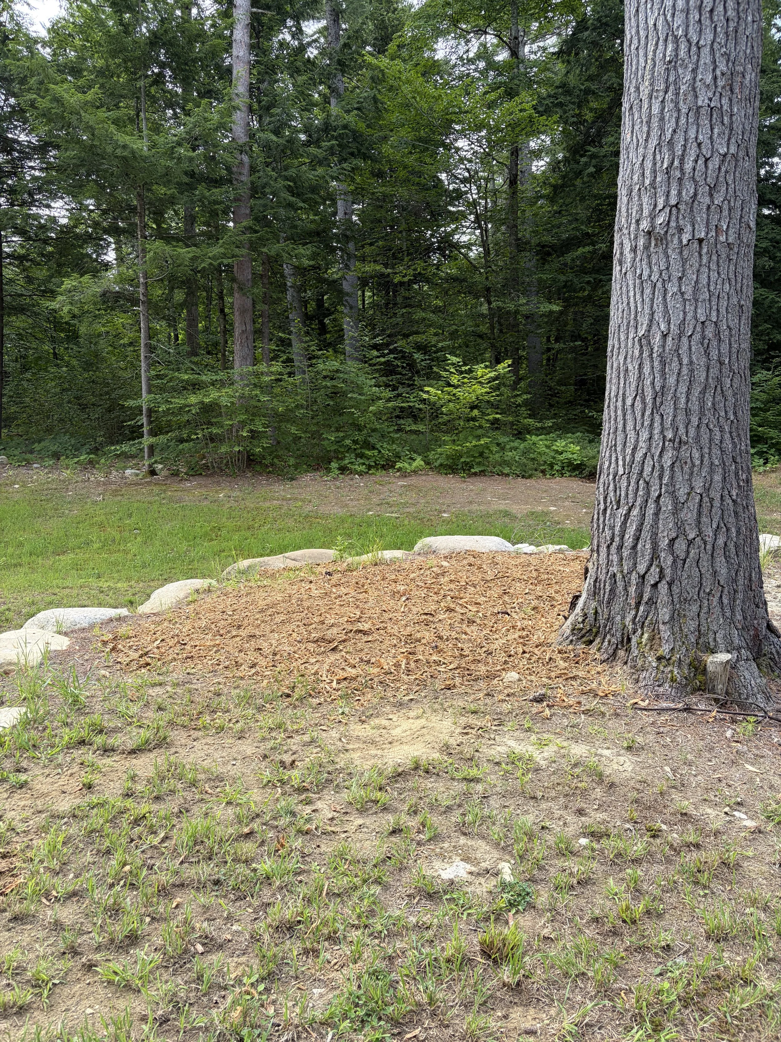 Stump Grinding