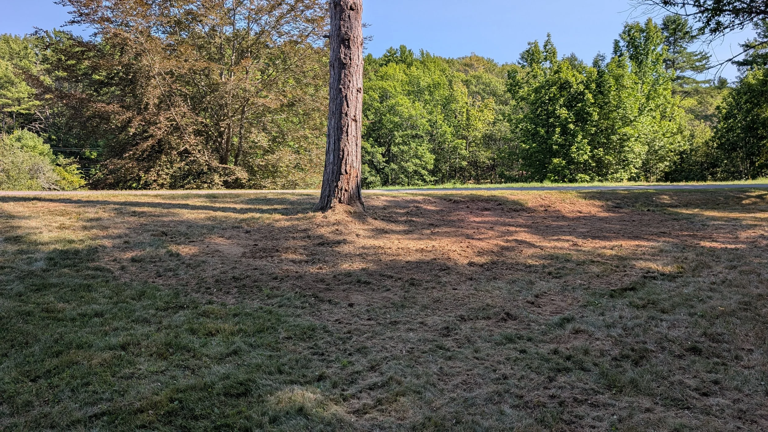 Stump Grinding