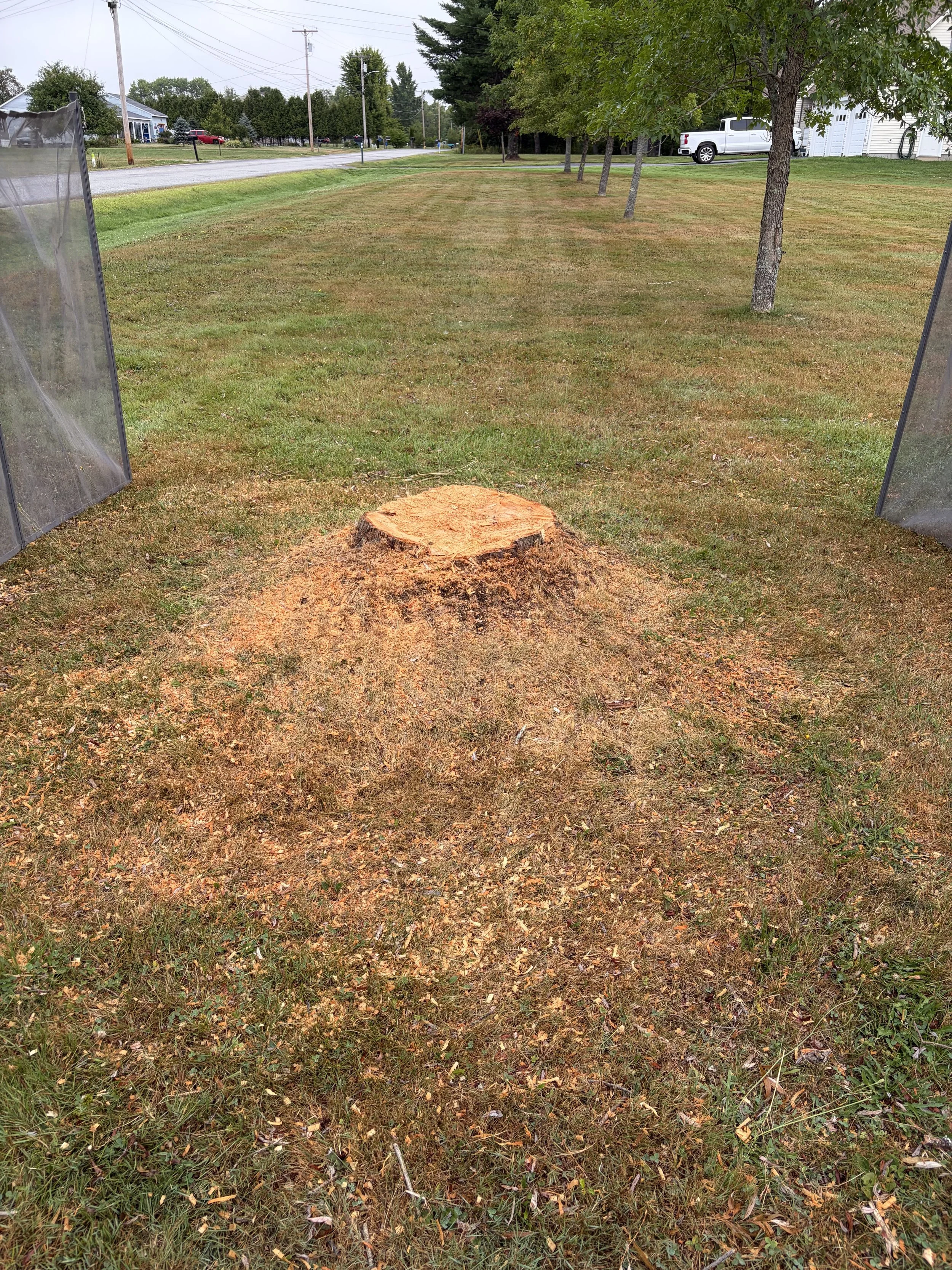 Stump Grinding
