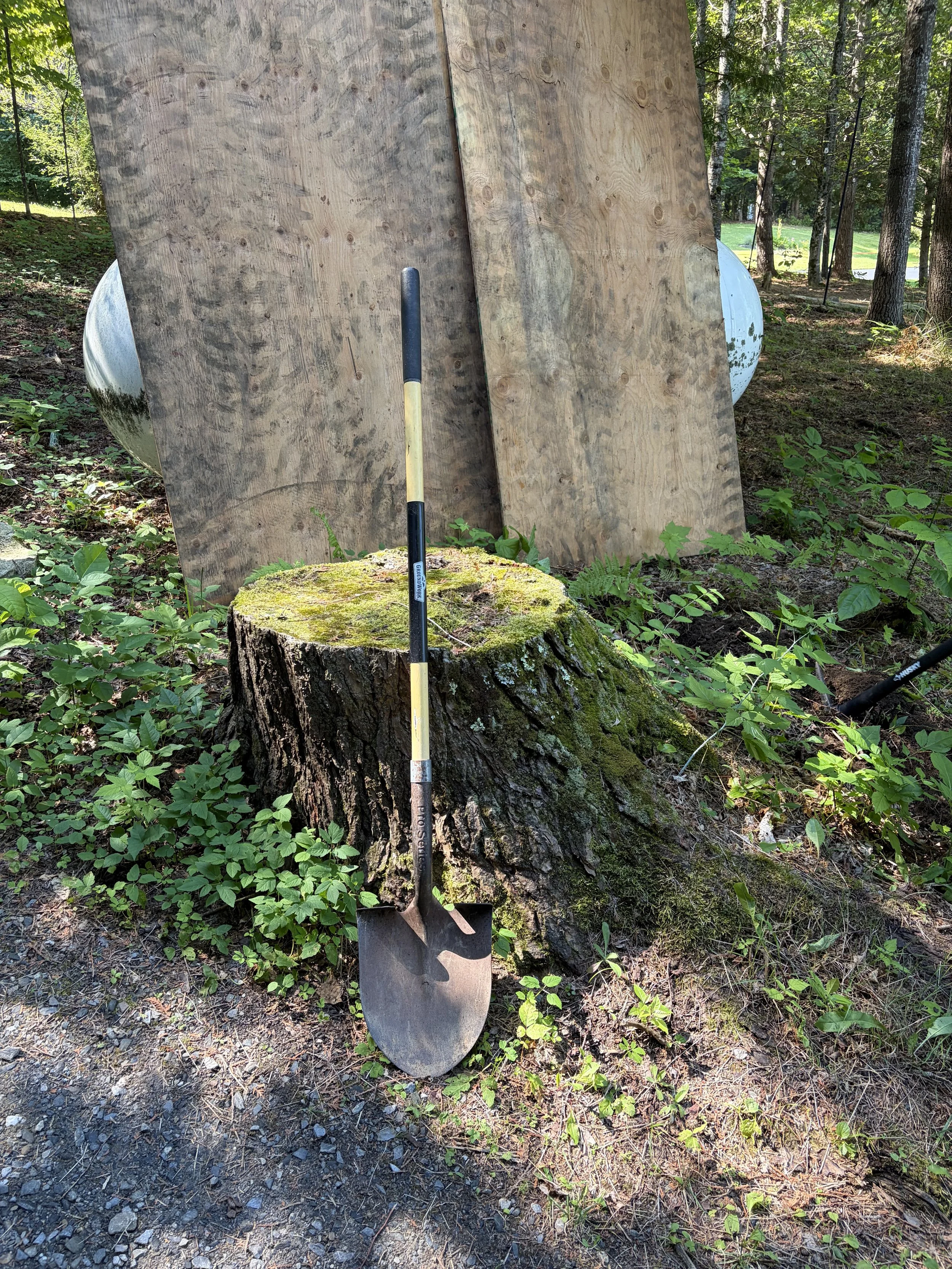 Stump Grinding