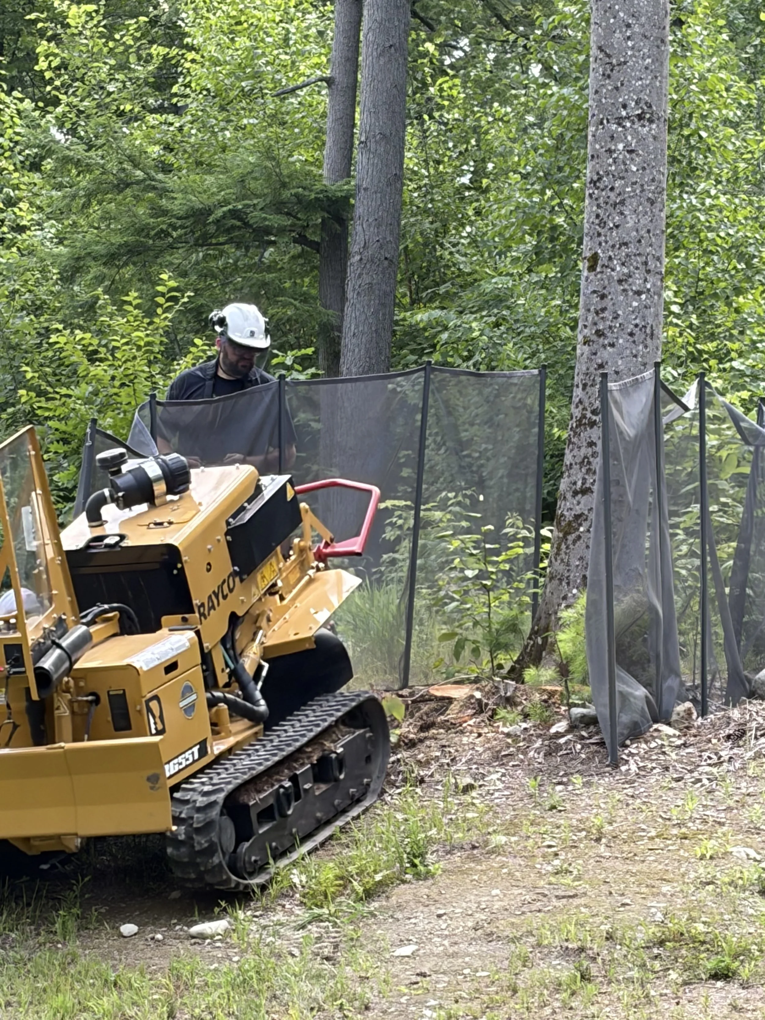 Stump Grinding