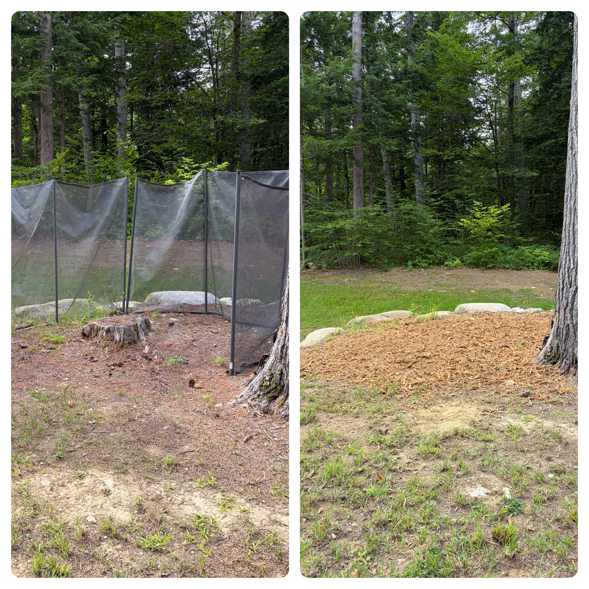 Stump Grinding