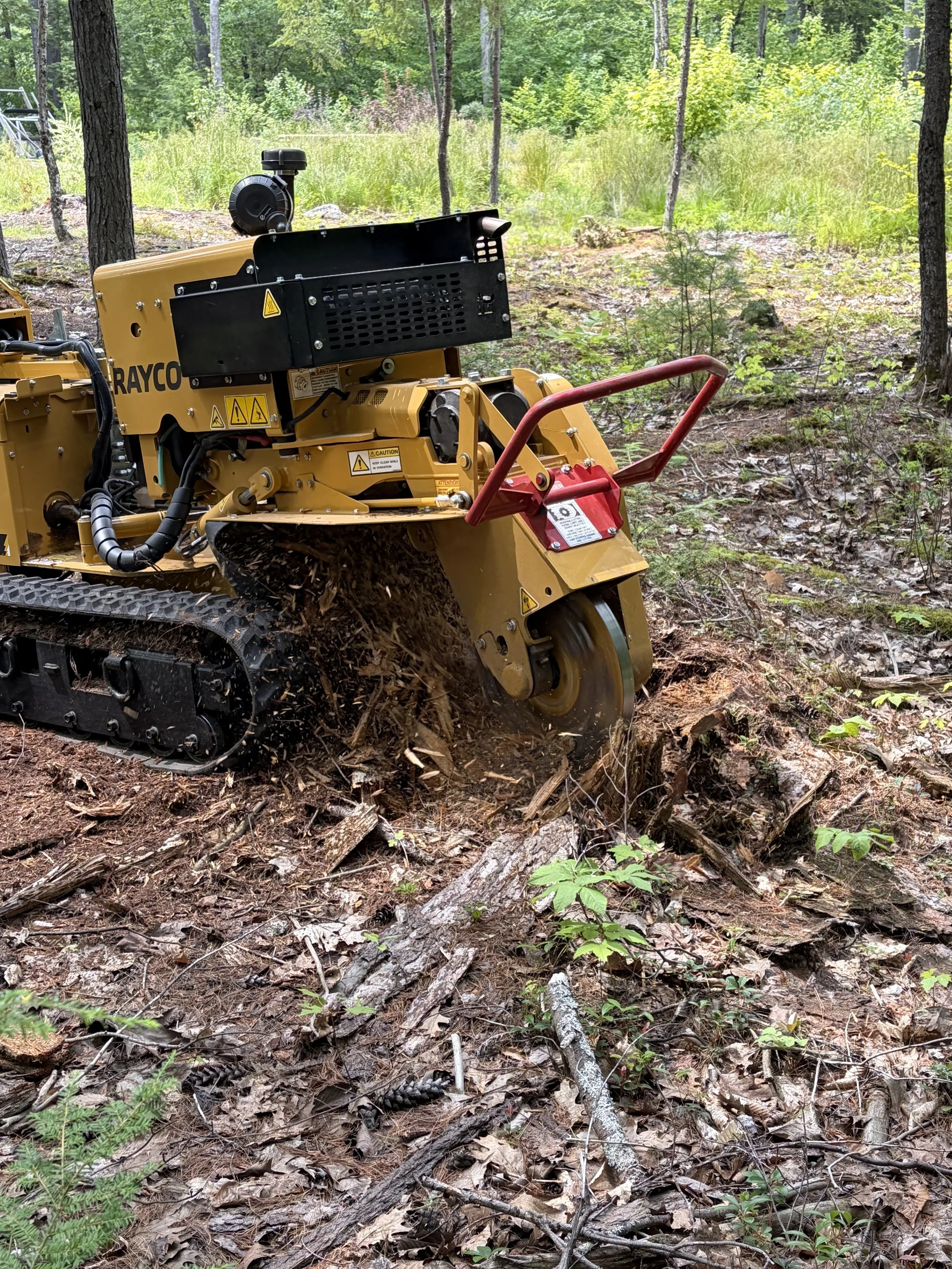 Stump Grinding