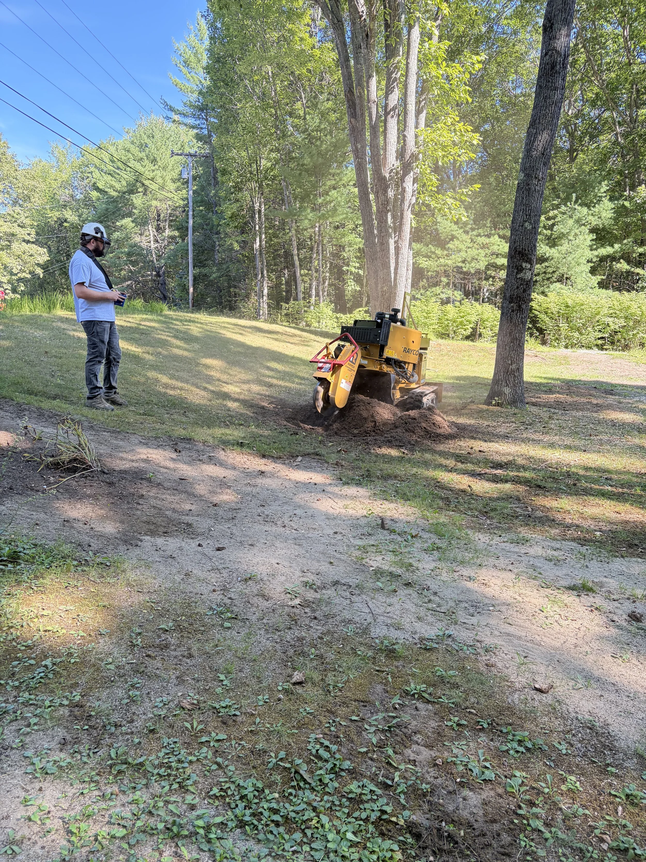 Stump Grinding