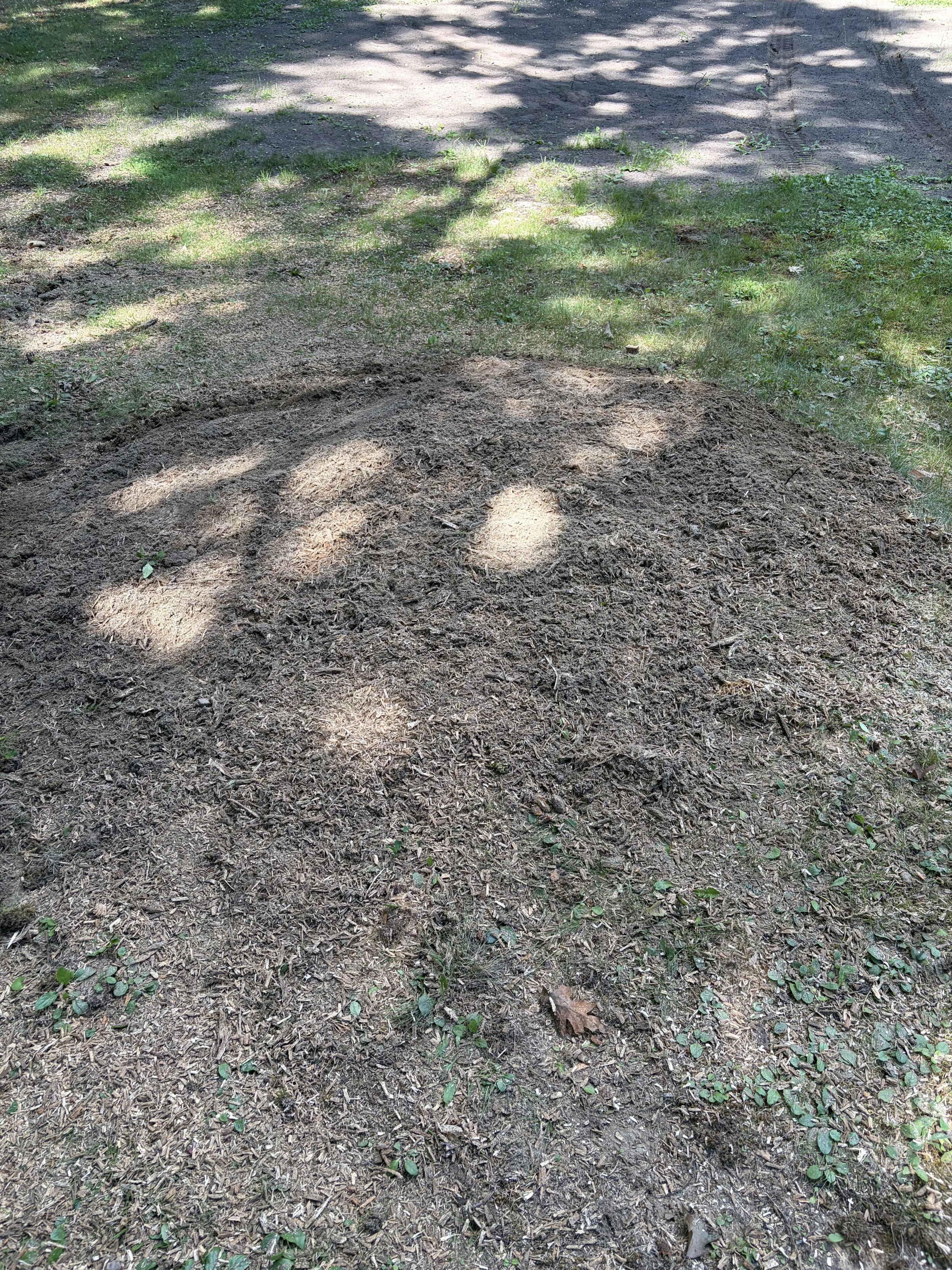 Stump Grinding
