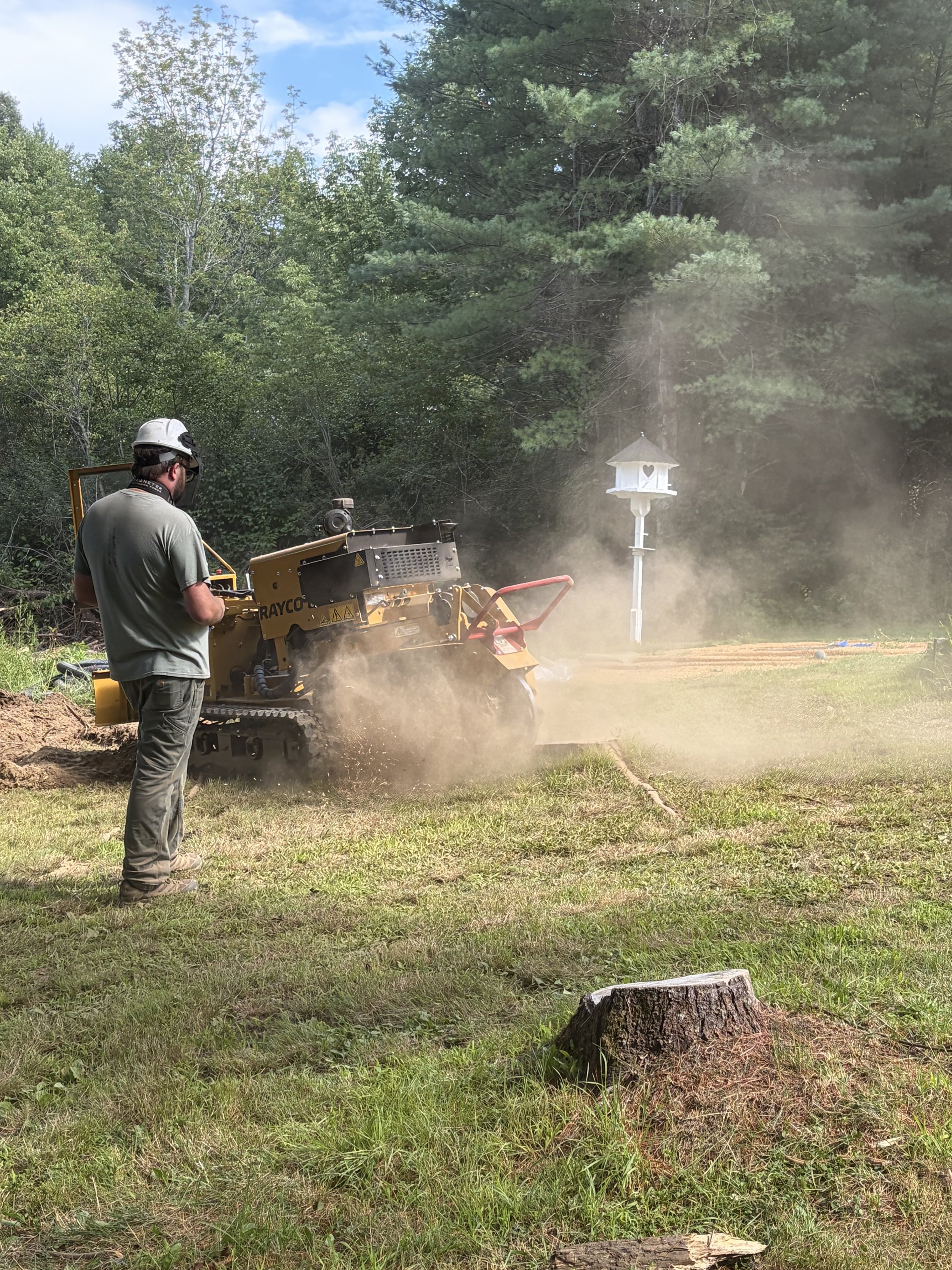 Stump Grinding