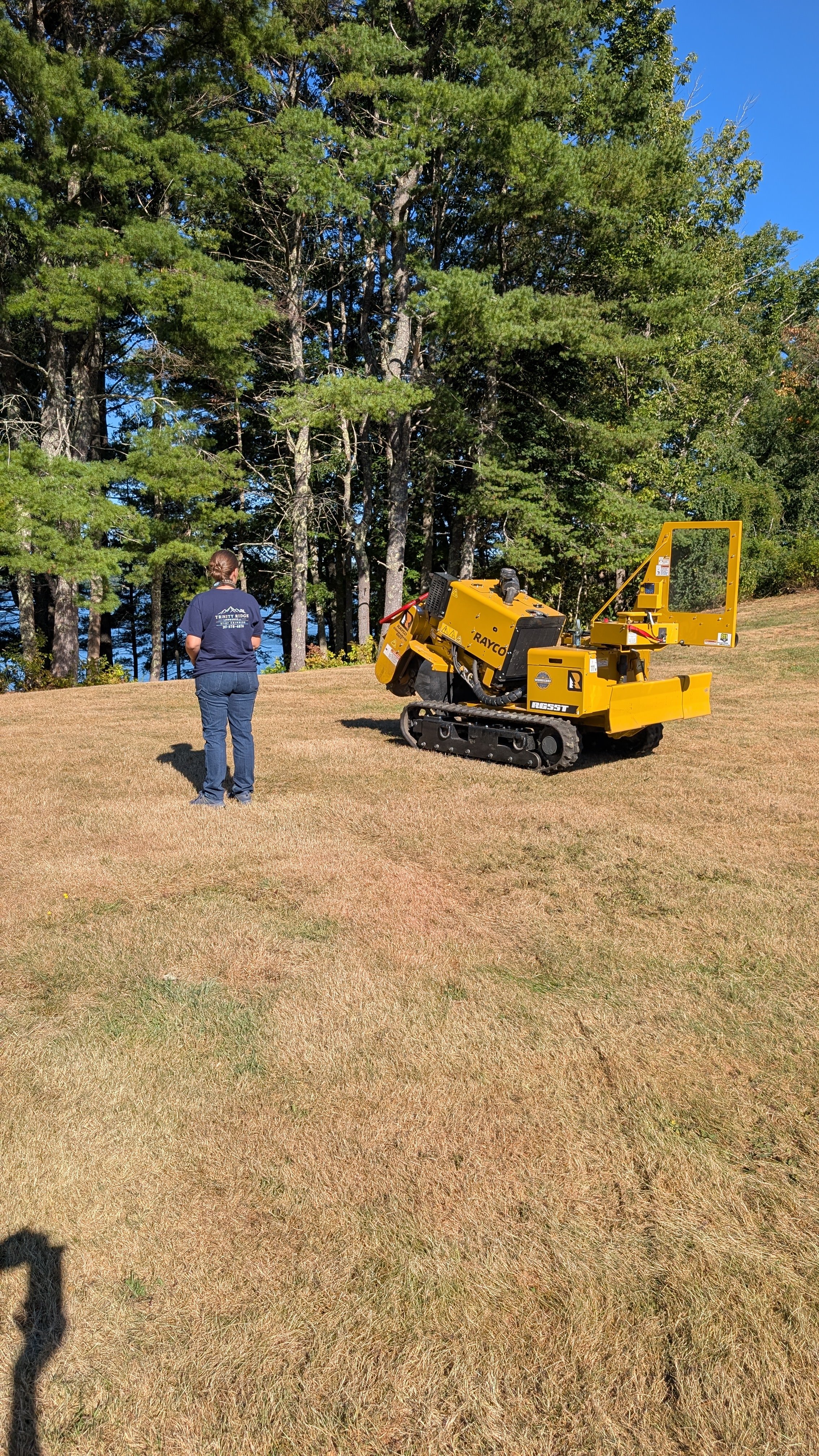 Stump Grinding