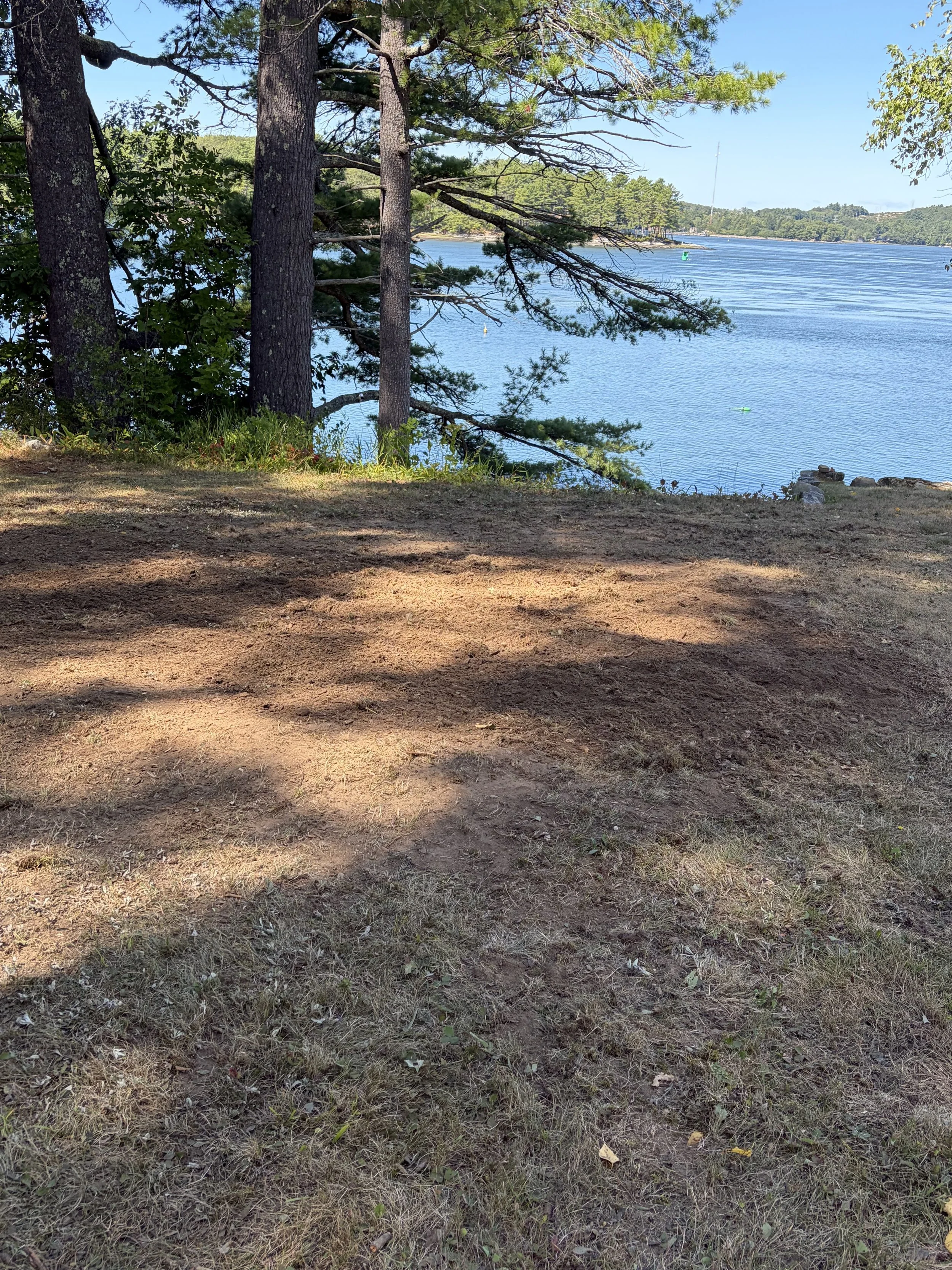 Stump Grinding